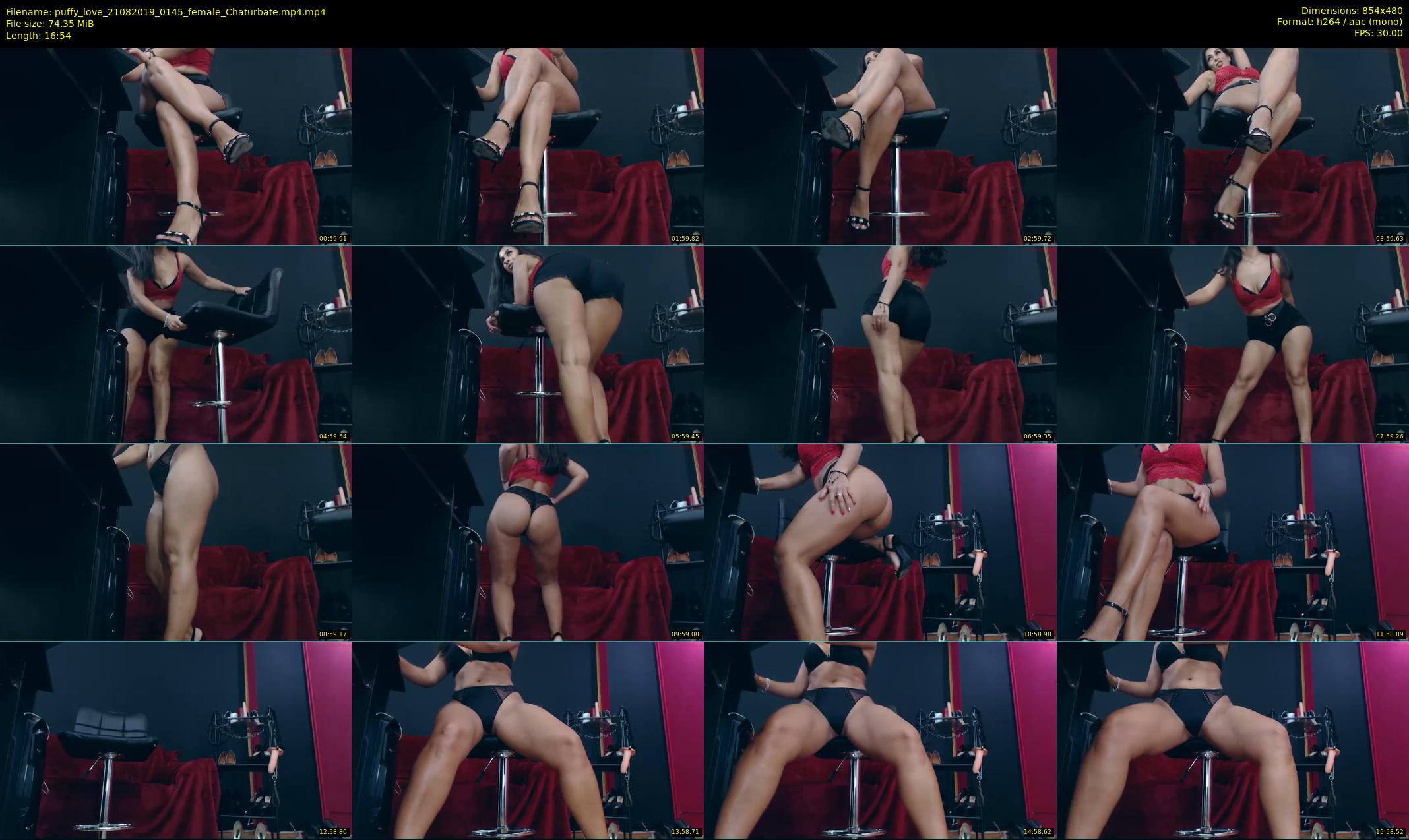puffy_love — 17 minute Chaturbate female cam show recording, 480p, Aug 21, 2019
