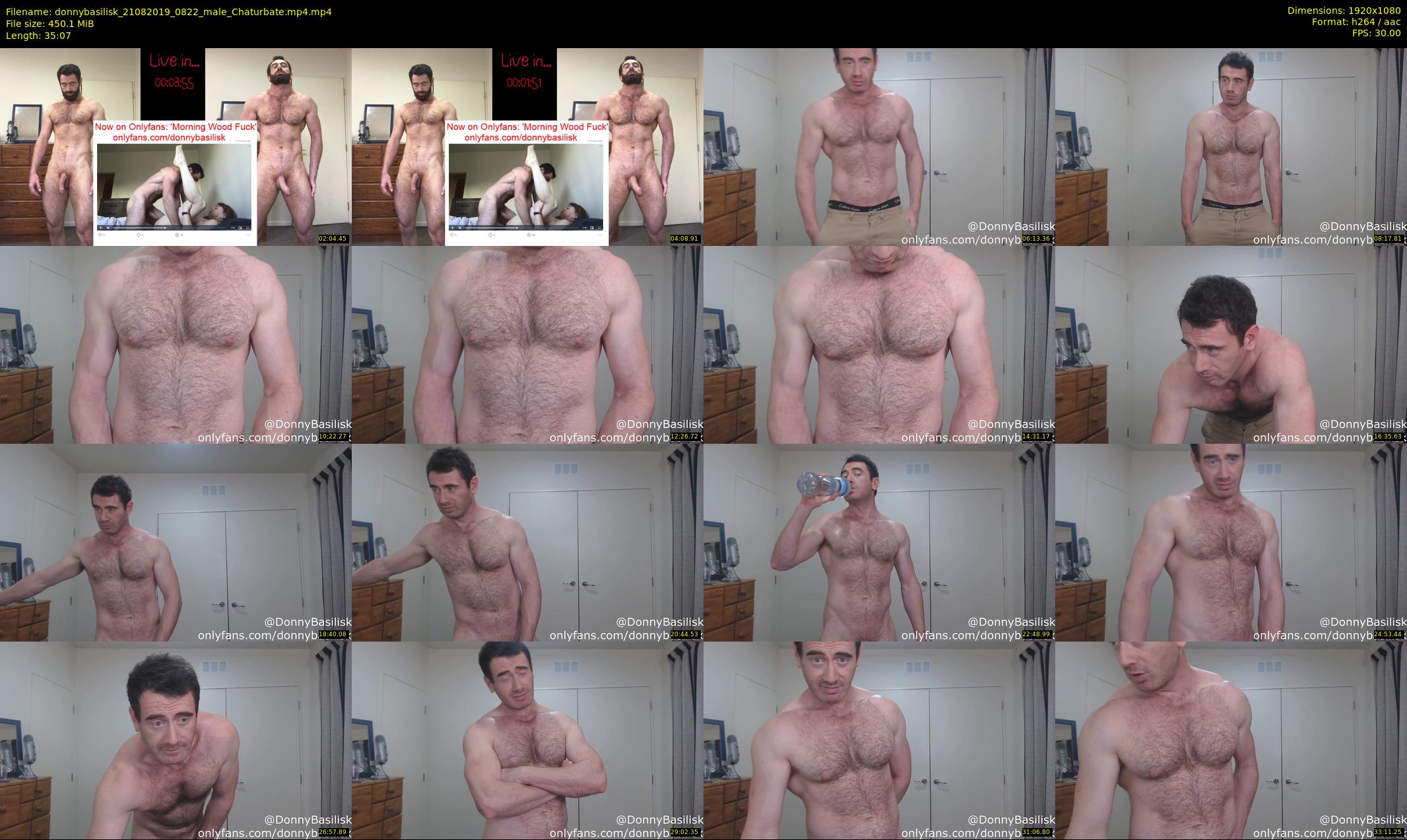 donnybasilisk — 36 minute Chaturbate male cam show recording, 1080p, Aug 21, 2019
