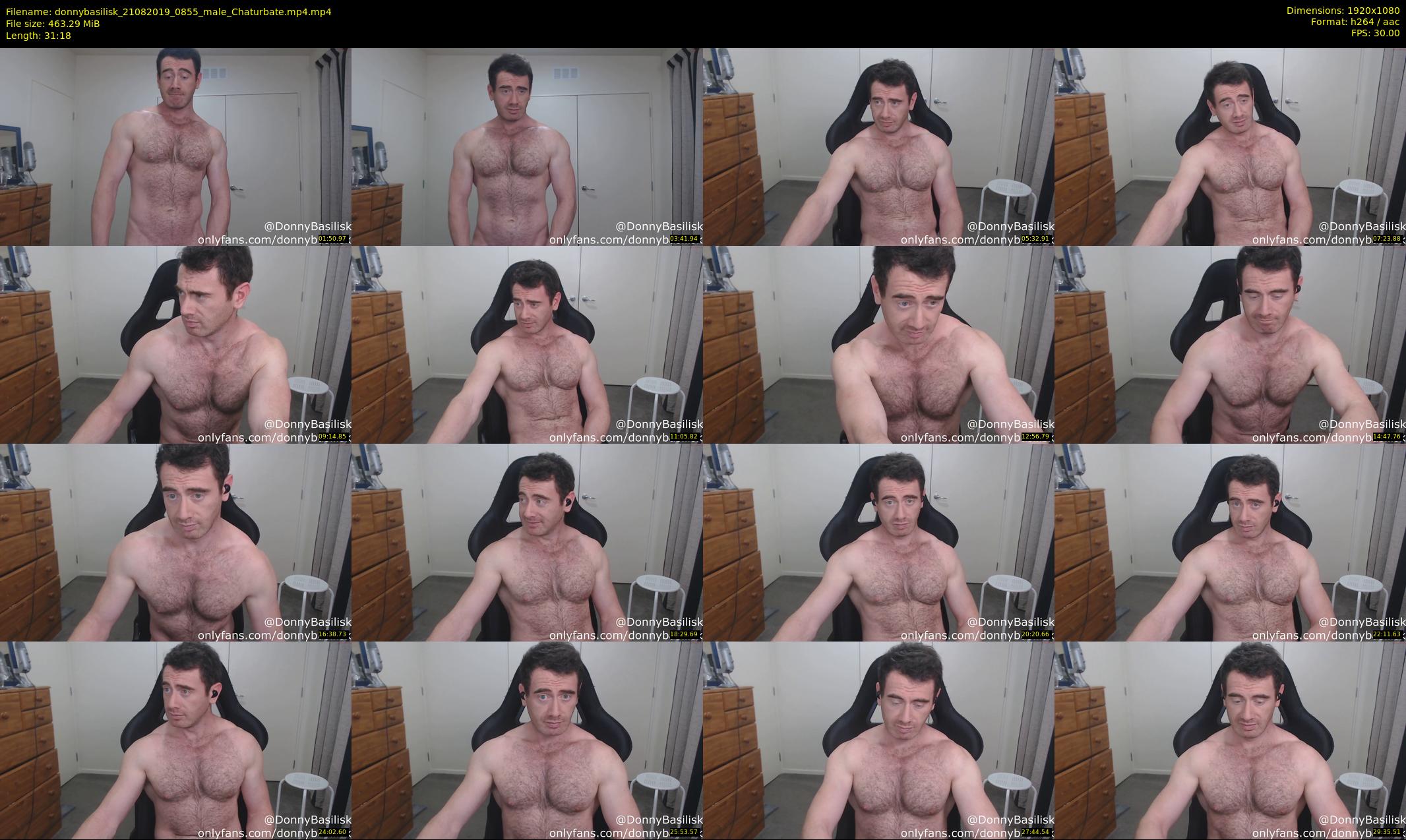 donnybasilisk — 32 minute Chaturbate male cam show recording, 1080p, Aug 21, 2019