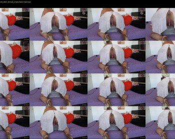 einneuesleben89 — 13 minute Chaturbate female cam show recording, 4K, Aug 21, 2019