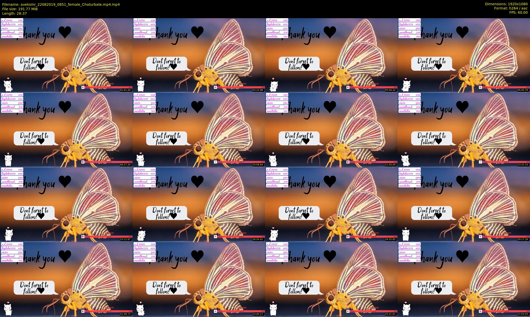 aveksmr — 29 minute Chaturbate couple cam show recording, 1080p, Aug 22, 2019