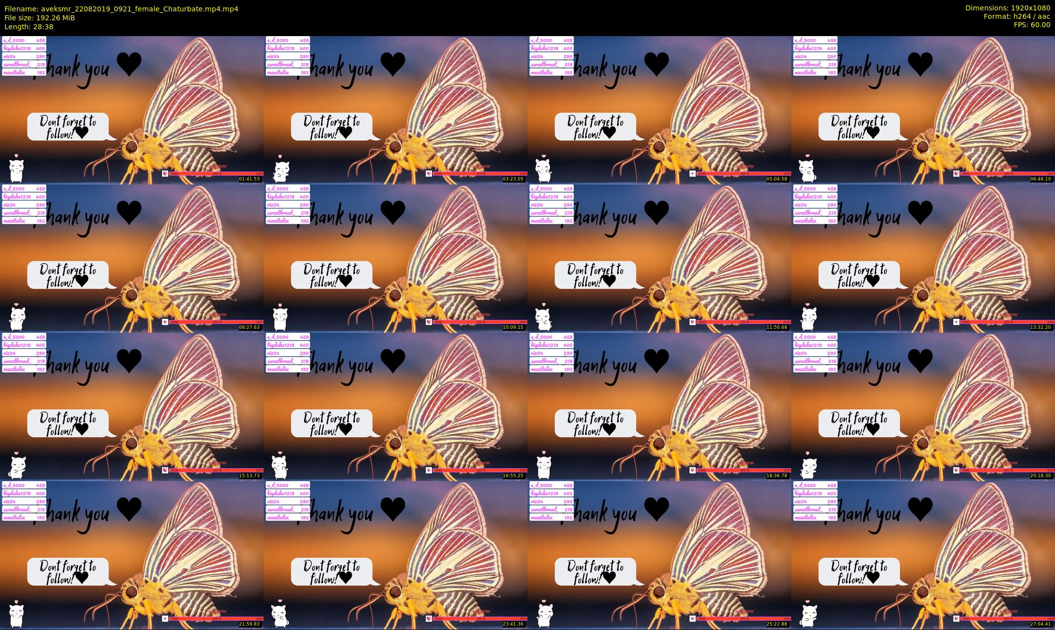 aveksmr — 29 minute Chaturbate couple cam show recording, 1080p, Aug 22, 2019