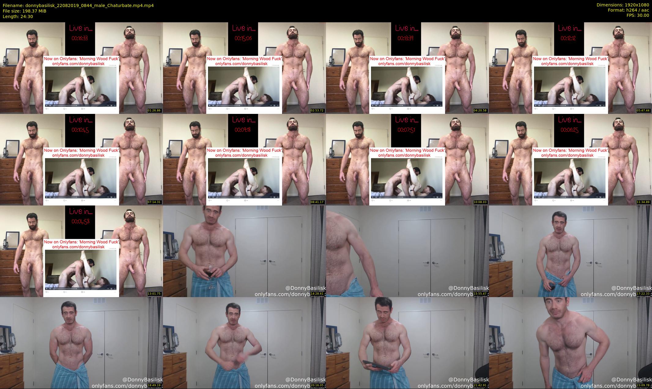 donnybasilisk — 25 minute Chaturbate male cam show recording, 1080p, Aug 22, 2019