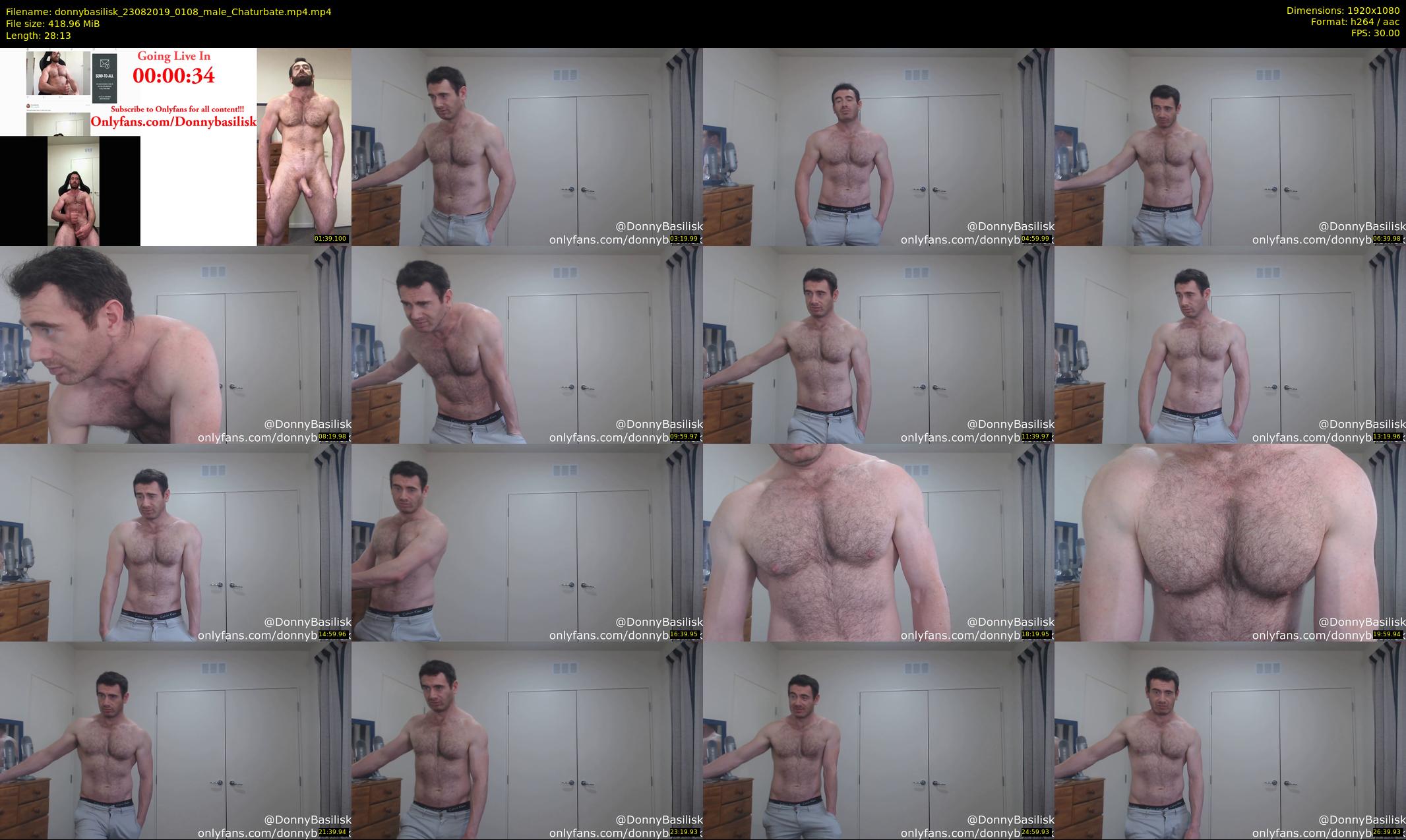 donnybasilisk — 29 minute Chaturbate male cam show recording, 1080p, Aug 23, 2019