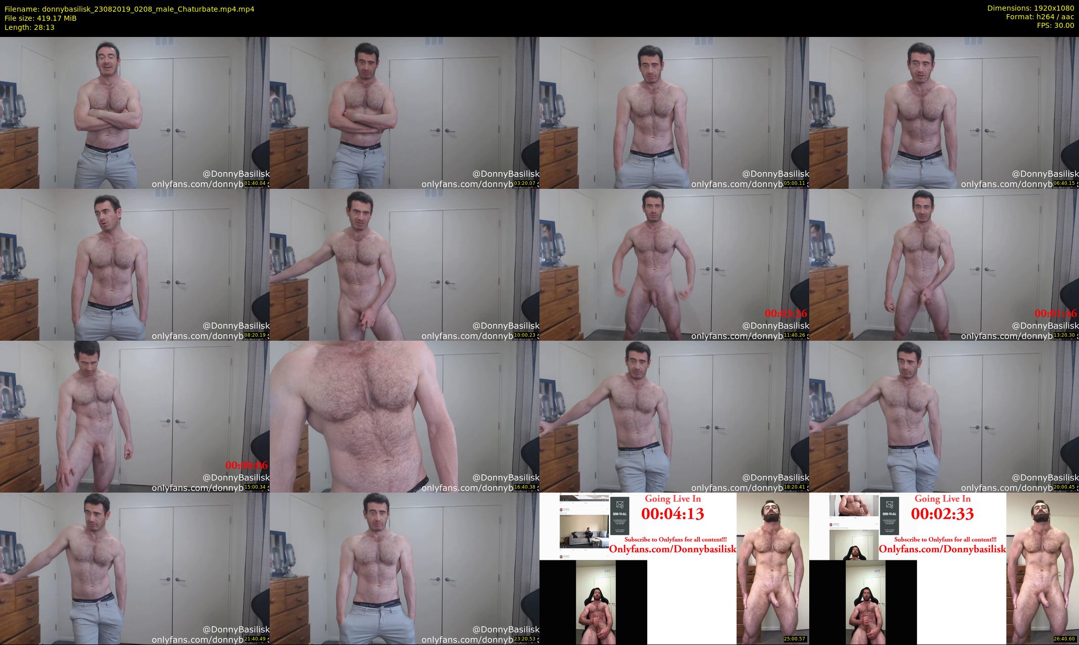 donnybasilisk — 29 minute Chaturbate male cam show recording, 1080p, Aug 23, 2019