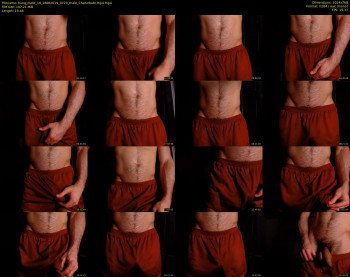 hung_dude_19 — 20 minute Chaturbate male cam show recording, 720p, Aug 16, 2019