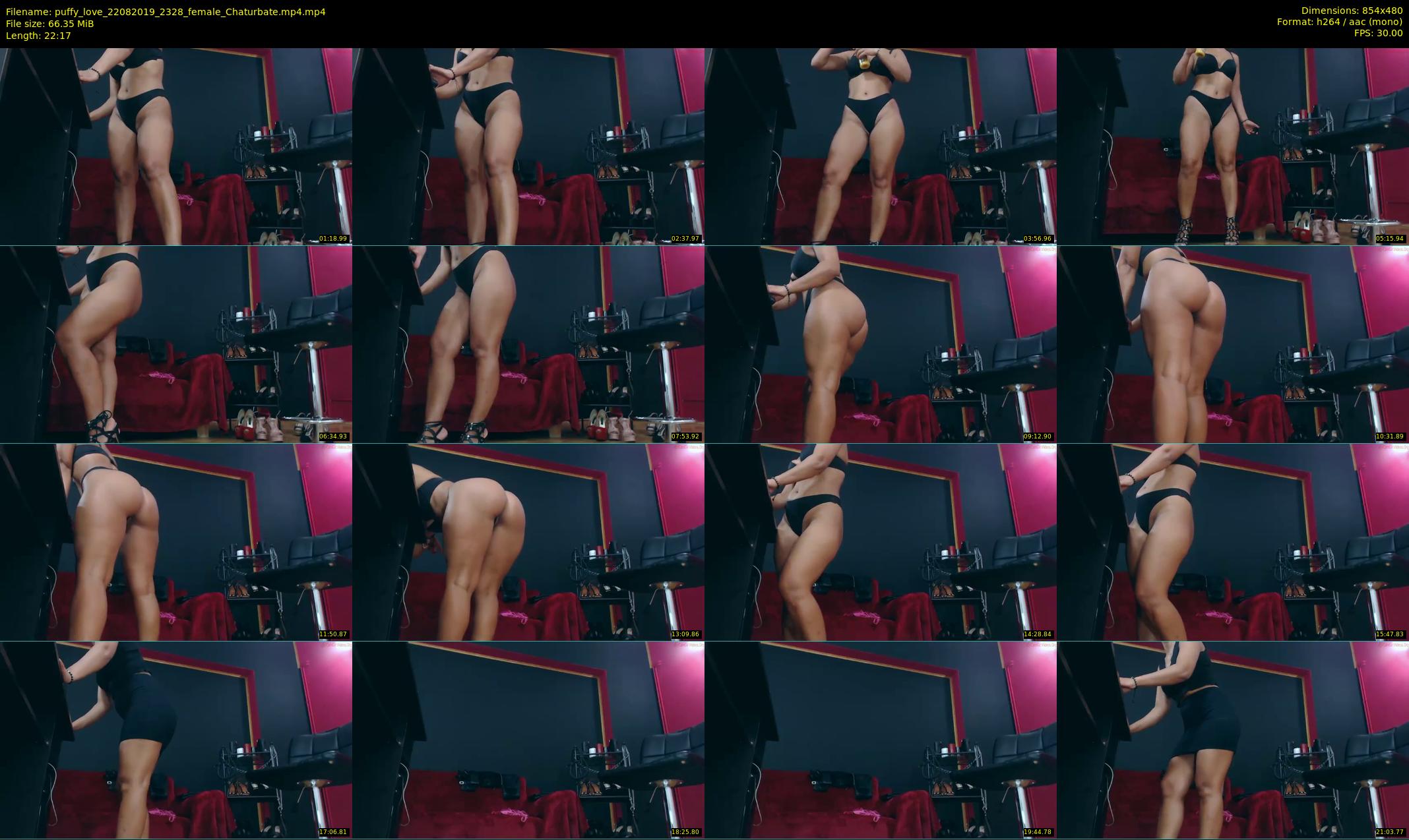puffy_love — 23 minute Chaturbate female cam show recording, 480p, Aug 22, 2019