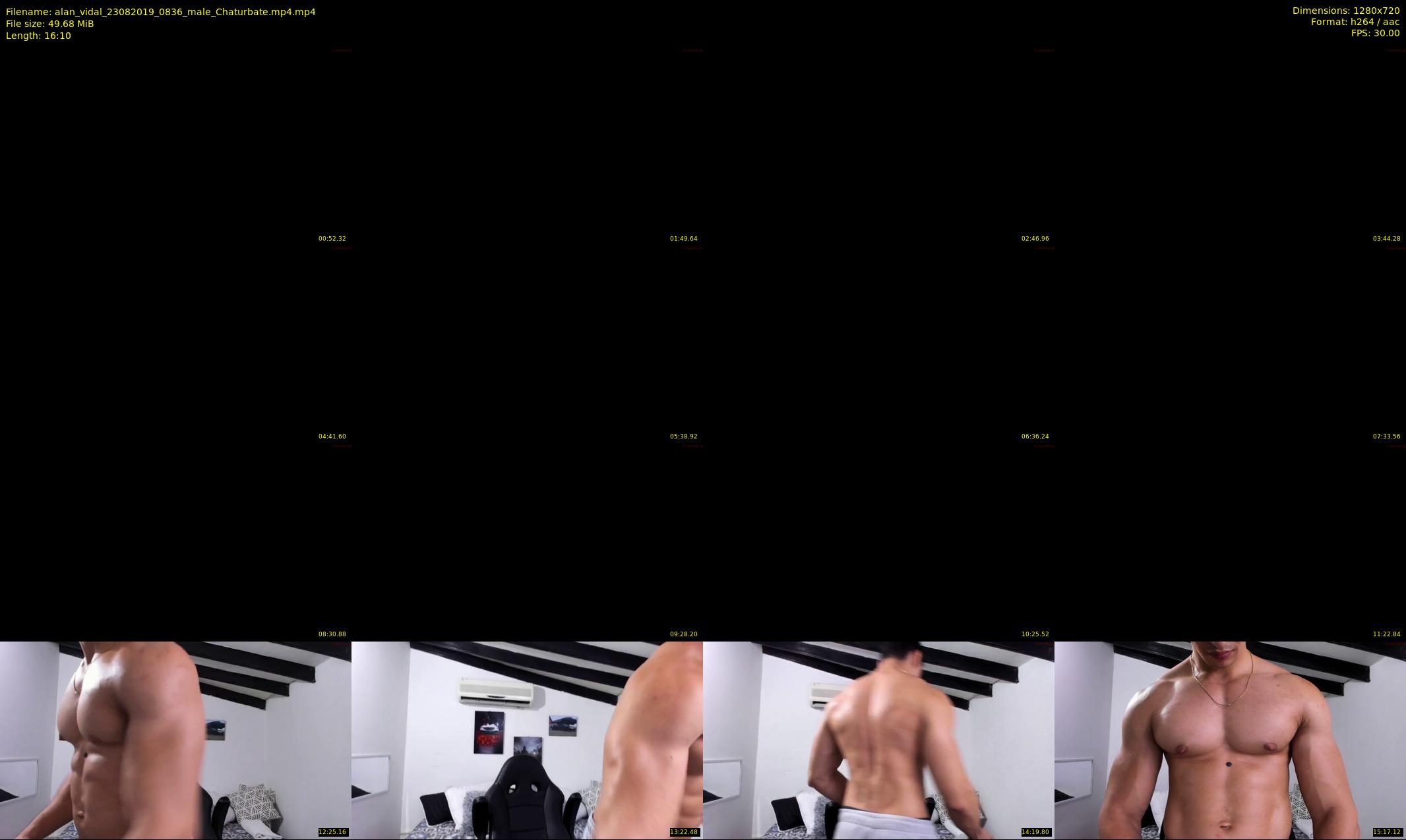 alan_vidal — 17 minute Chaturbate male cam show recording, 720p, Aug 23, 2019