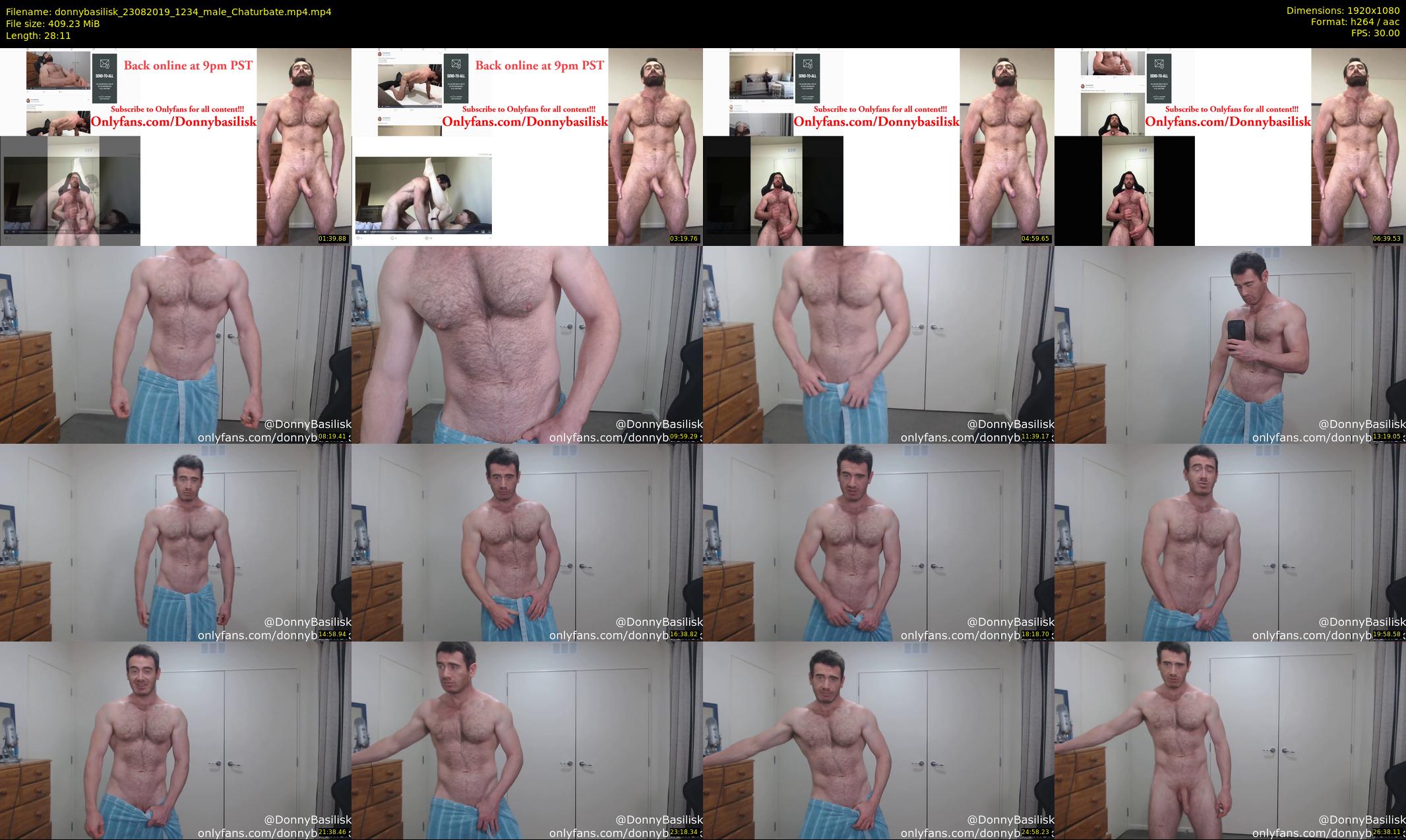 donnybasilisk — 29 minute Chaturbate male cam show recording, 1080p, Aug 23, 2019