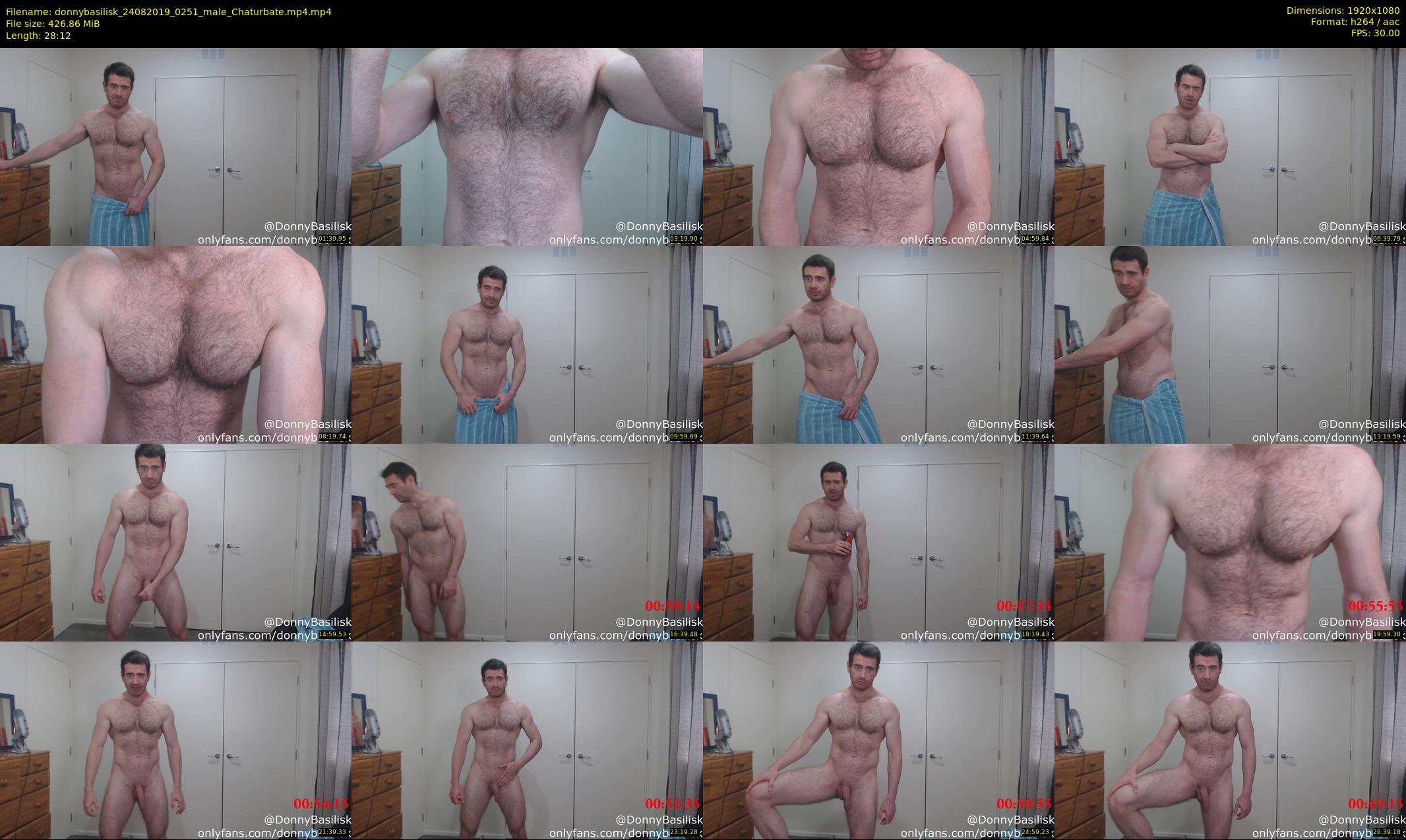 donnybasilisk — 29 minute Chaturbate male cam show recording, 1080p, Aug 24, 2019