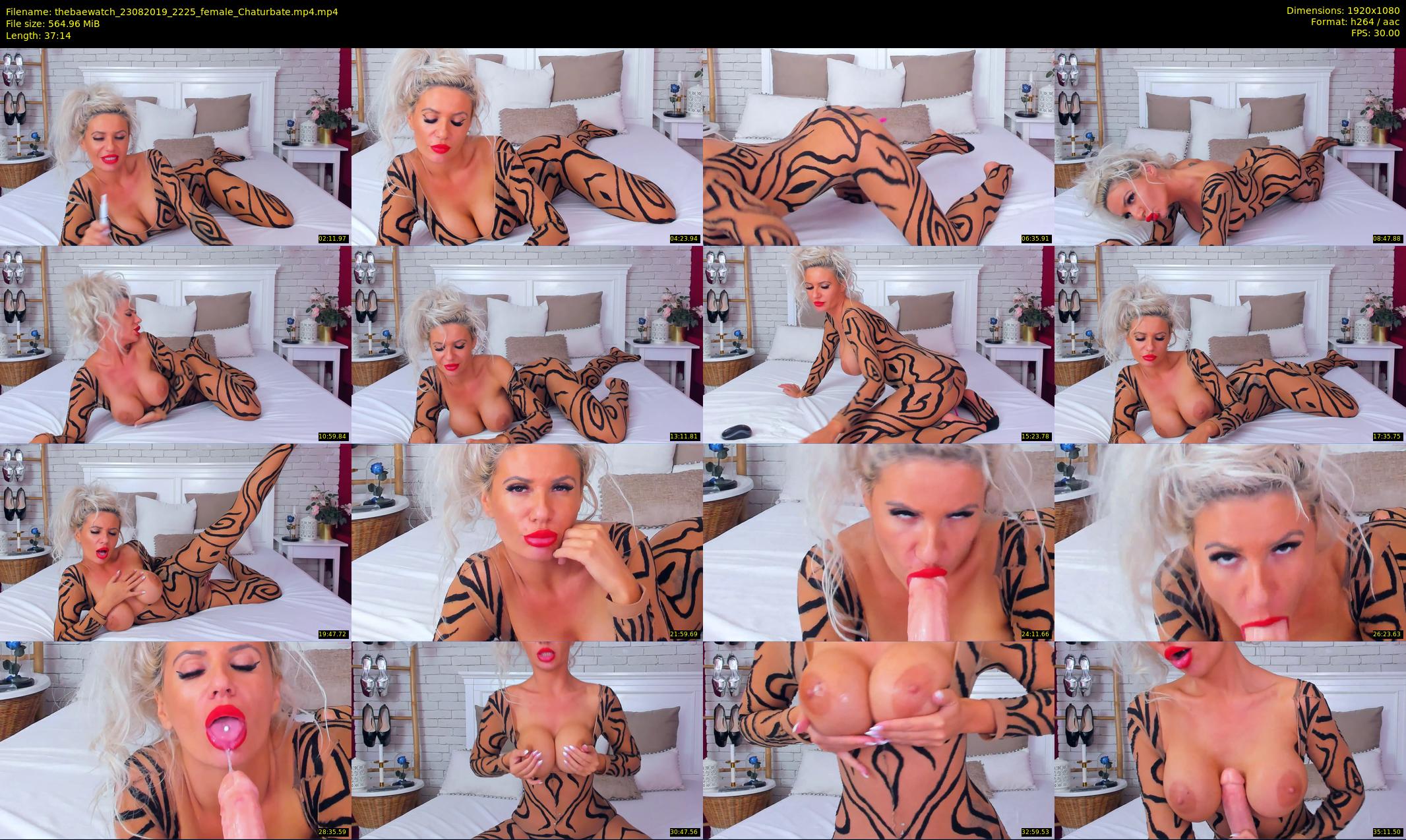 thebaewatch — 38 minute Chaturbate female cam show recording, 1080p, Aug 23, 2019