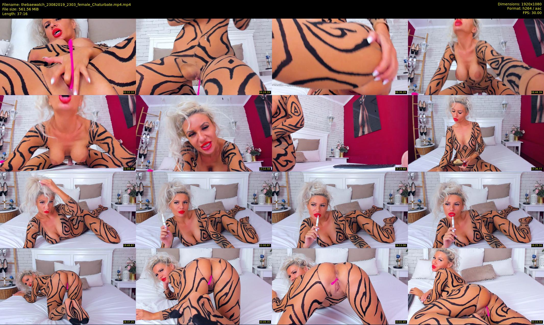 thebaewatch — 38 minute Chaturbate female cam show recording, 1080p, Aug 23, 2019