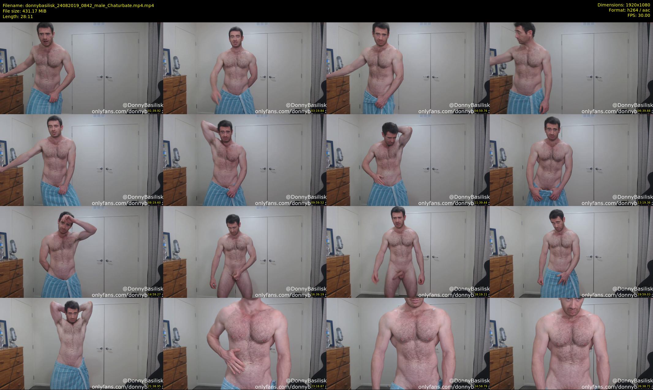 donnybasilisk — 29 minute Chaturbate male cam show recording, 1080p, Aug 24, 2019
