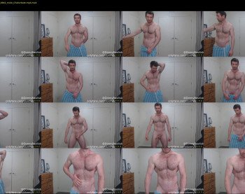 donnybasilisk — 29 minute Chaturbate male cam show recording, 1080p, Aug 24, 2019