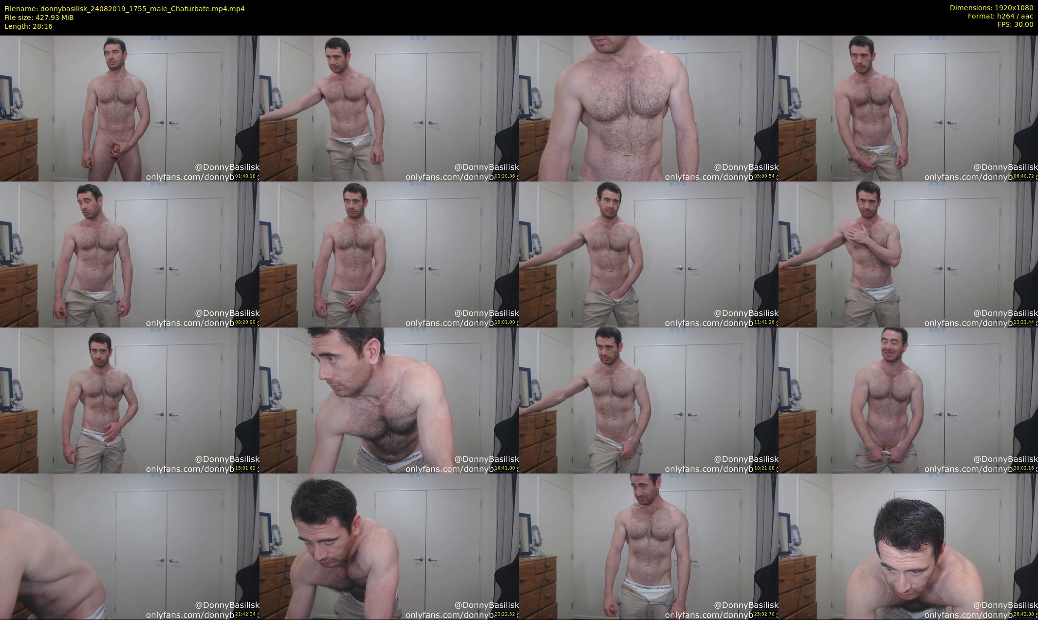 donnybasilisk — 29 minute Chaturbate male cam show recording, 1080p, Aug 24, 2019
