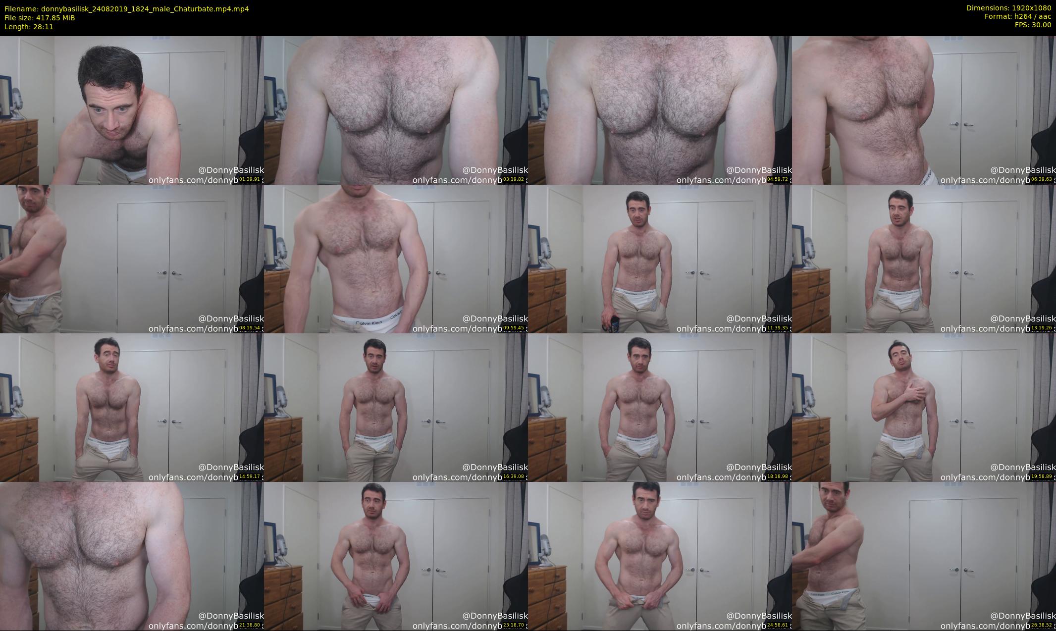 donnybasilisk — 29 minute Chaturbate male cam show recording, 1080p, Aug 24, 2019