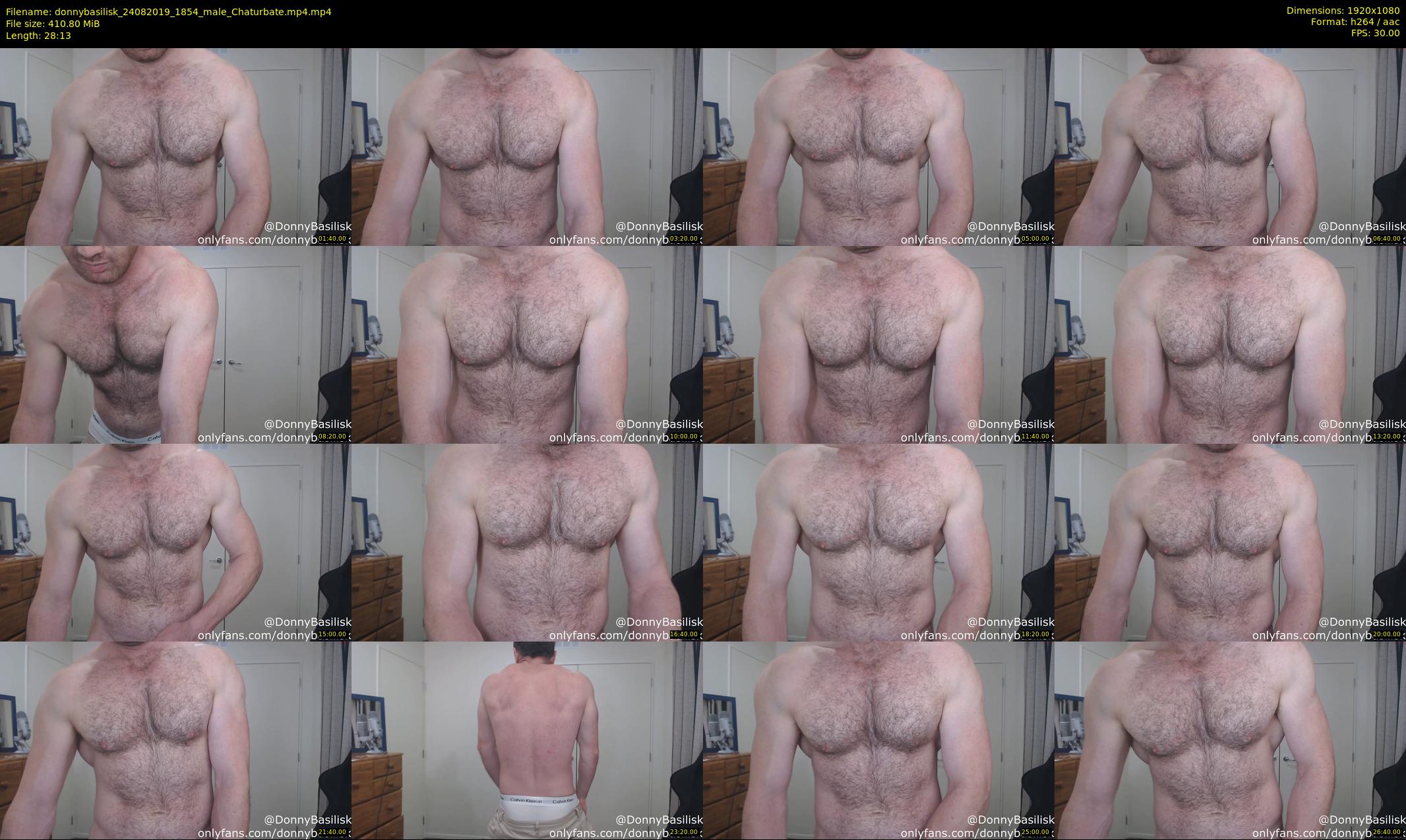 donnybasilisk — 29 minute Chaturbate male cam show recording, 1080p, Aug 24, 2019