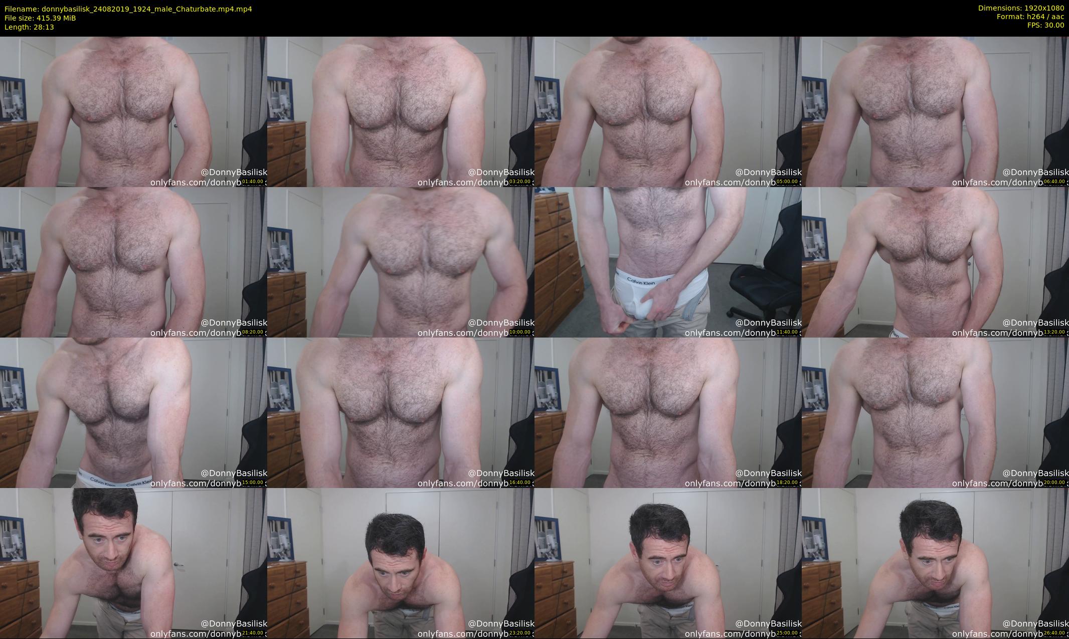donnybasilisk — 29 minute Chaturbate male cam show recording, 1080p, Aug 24, 2019