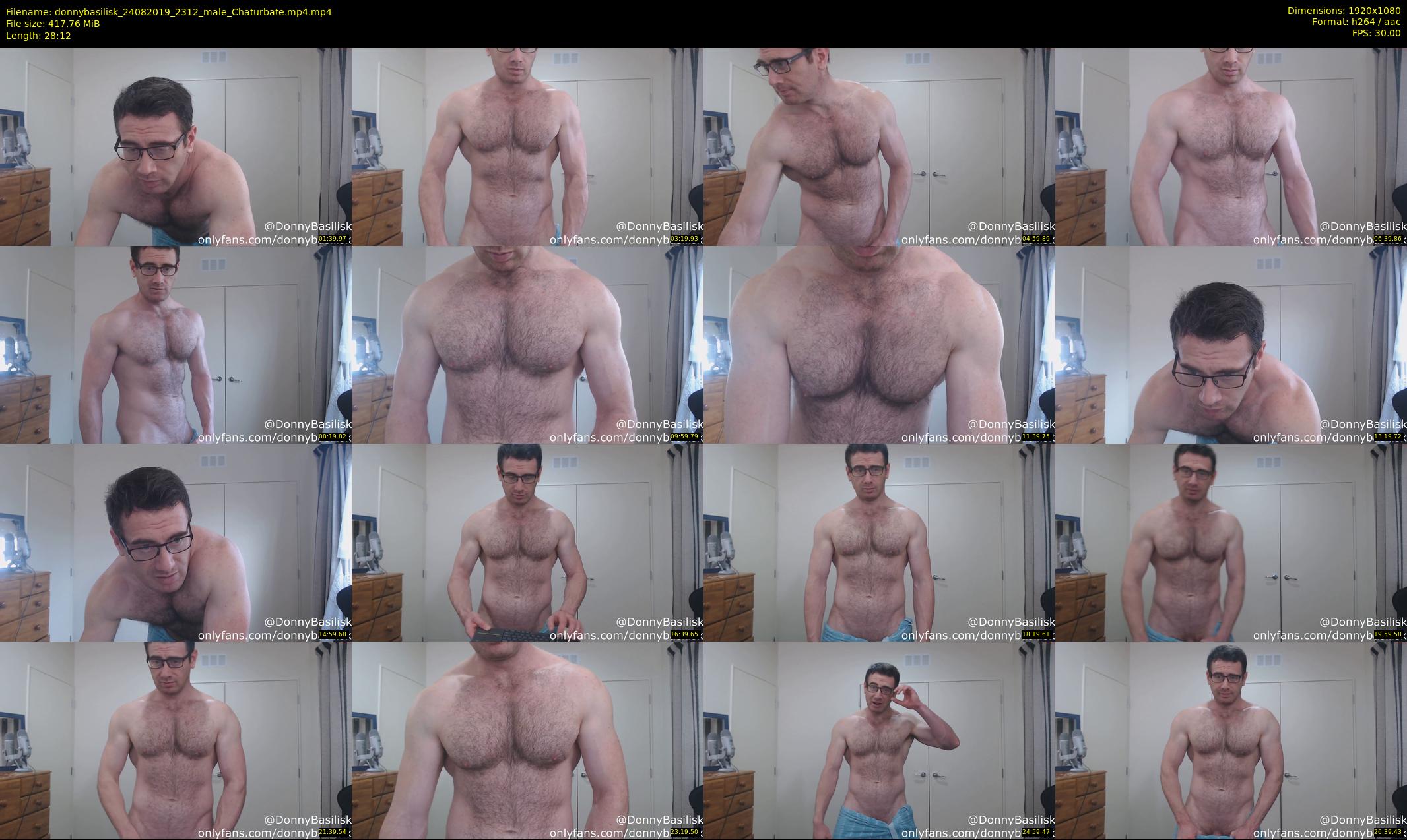 donnybasilisk — 29 minute Chaturbate male cam show recording, 1080p, Aug 24, 2019