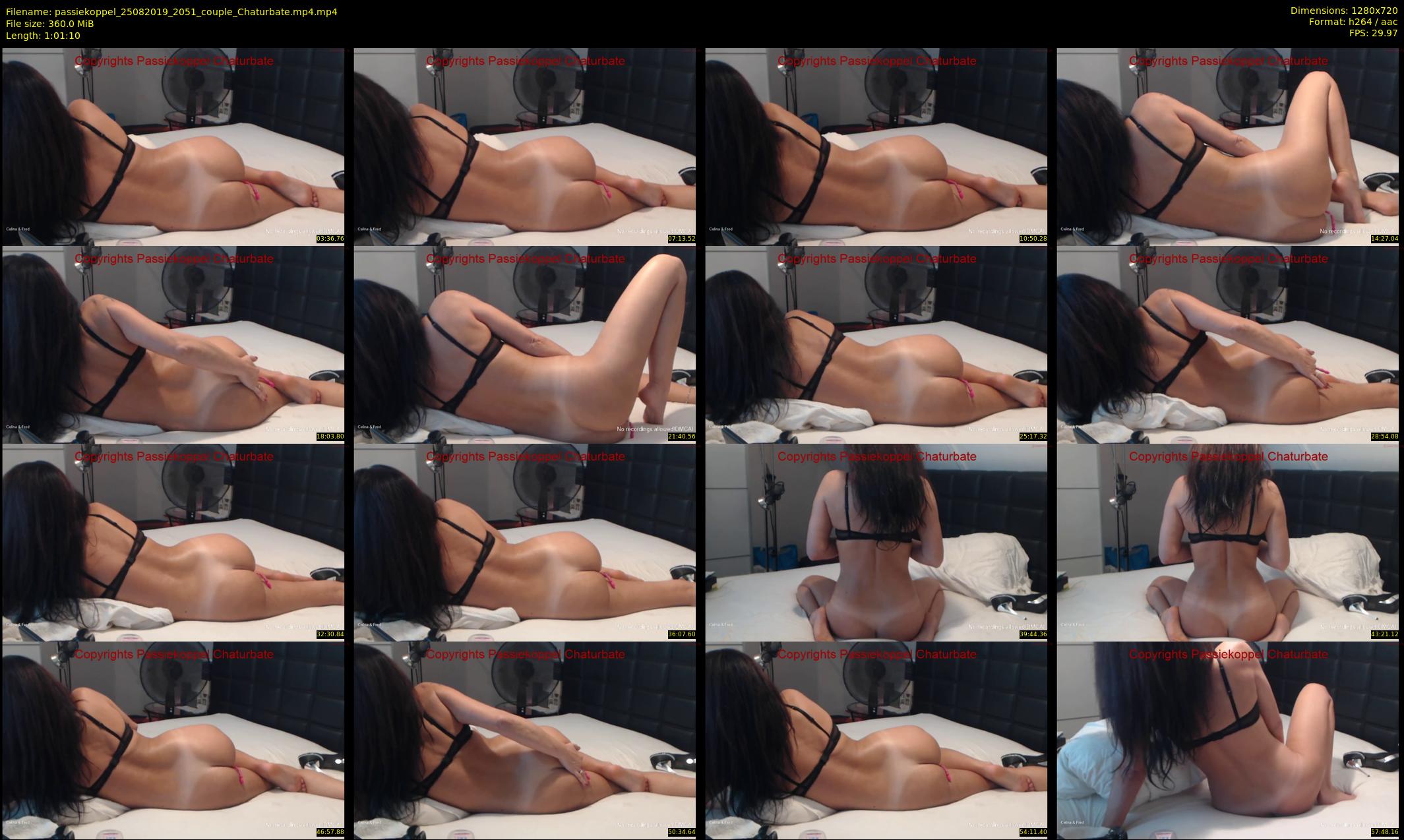 passiekoppel — 62 minute Chaturbate couple cam show recording, 720p, Aug 25, 2019