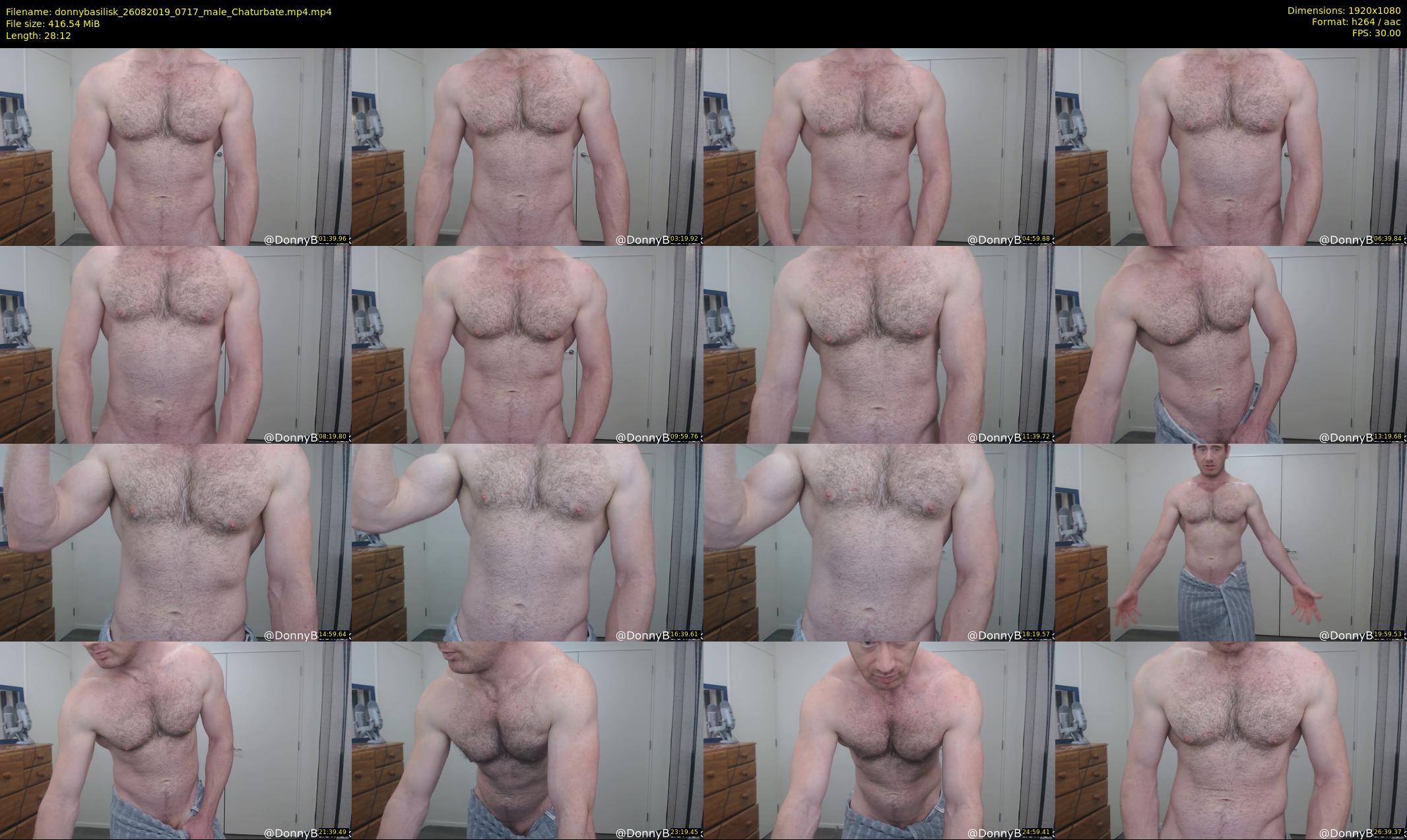 donnybasilisk — 29 minute Chaturbate male cam show recording, 1080p, Aug 26, 2019