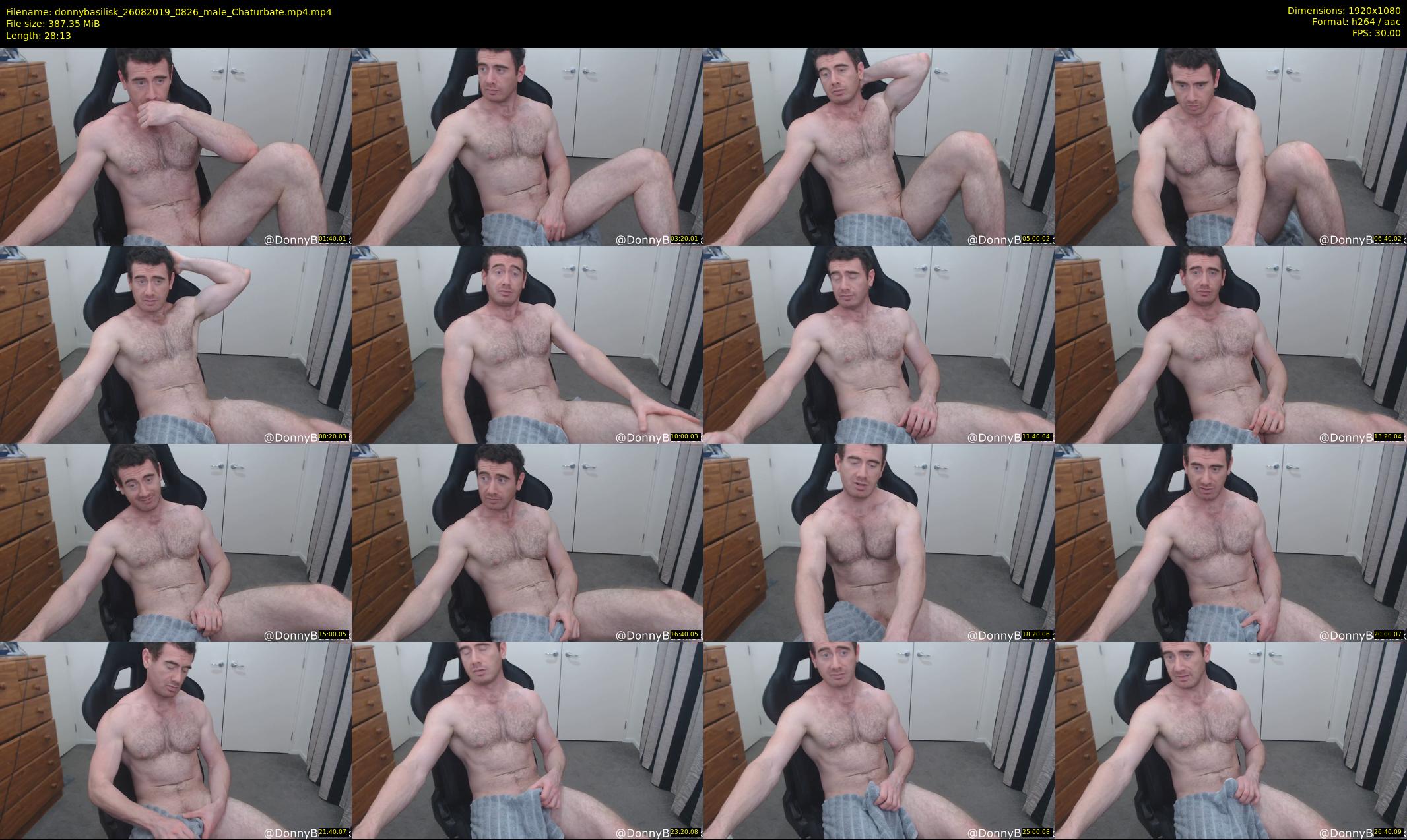 donnybasilisk — 29 minute Chaturbate male cam show recording, 1080p, Aug 26, 2019