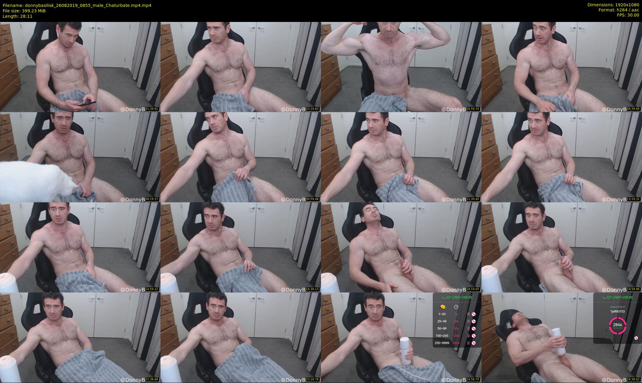 donnybasilisk — 29 minute Chaturbate male cam show recording, 1080p, Aug 26, 2019