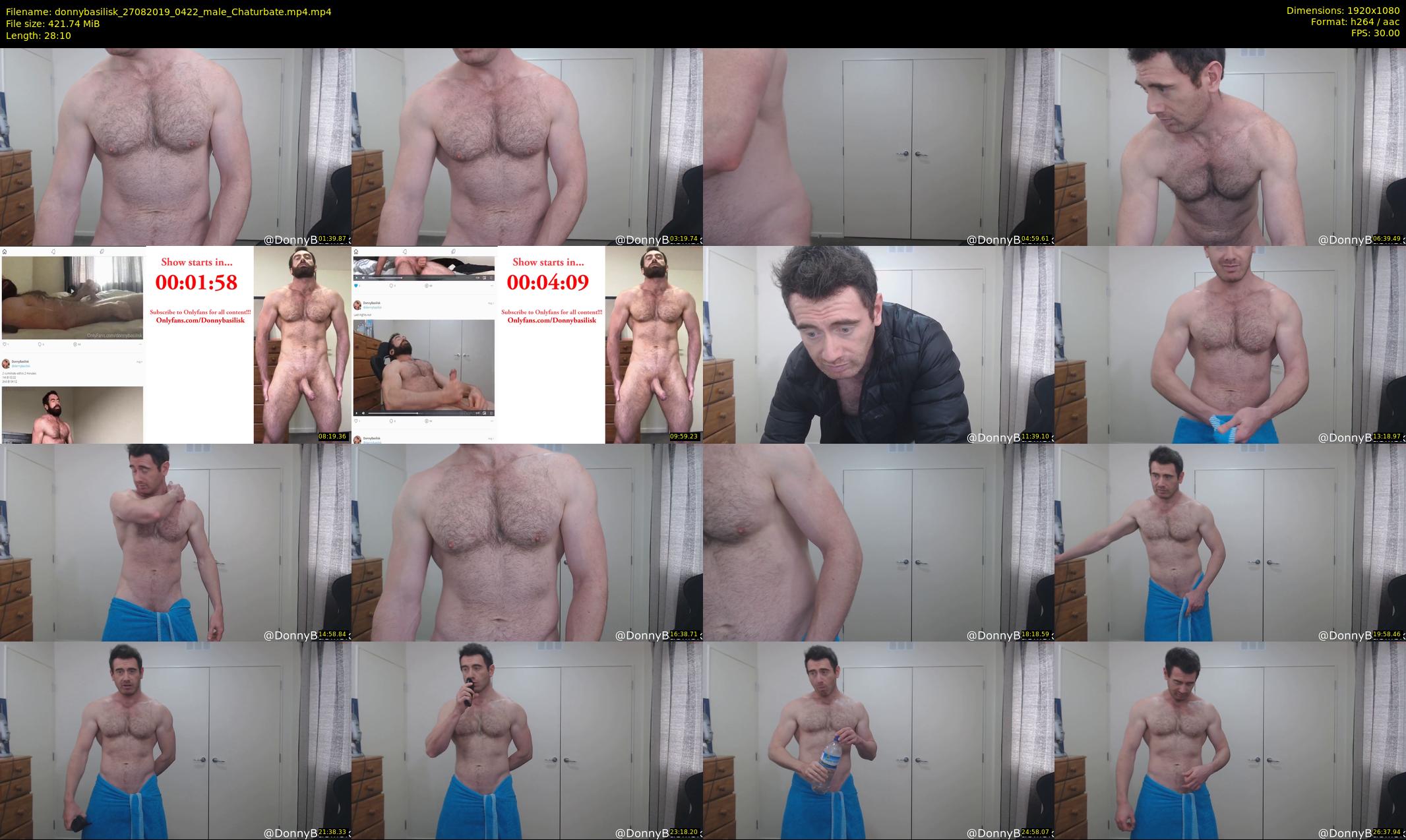 donnybasilisk — 29 minute Chaturbate male cam show recording, 1080p, Aug 27, 2019