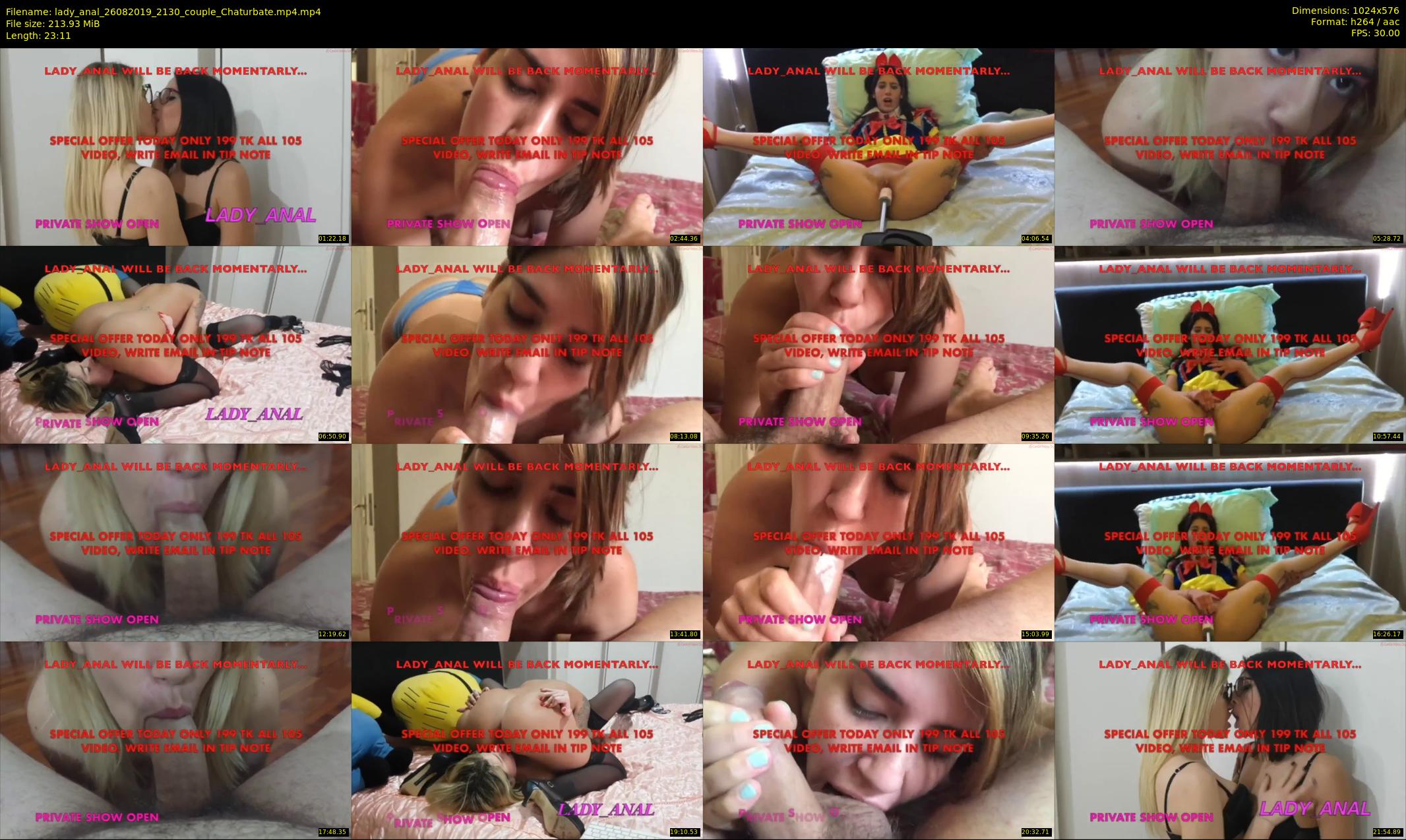 lady_anal — 24 minute Chaturbate female cam show recording, 480p, Aug 26, 2019