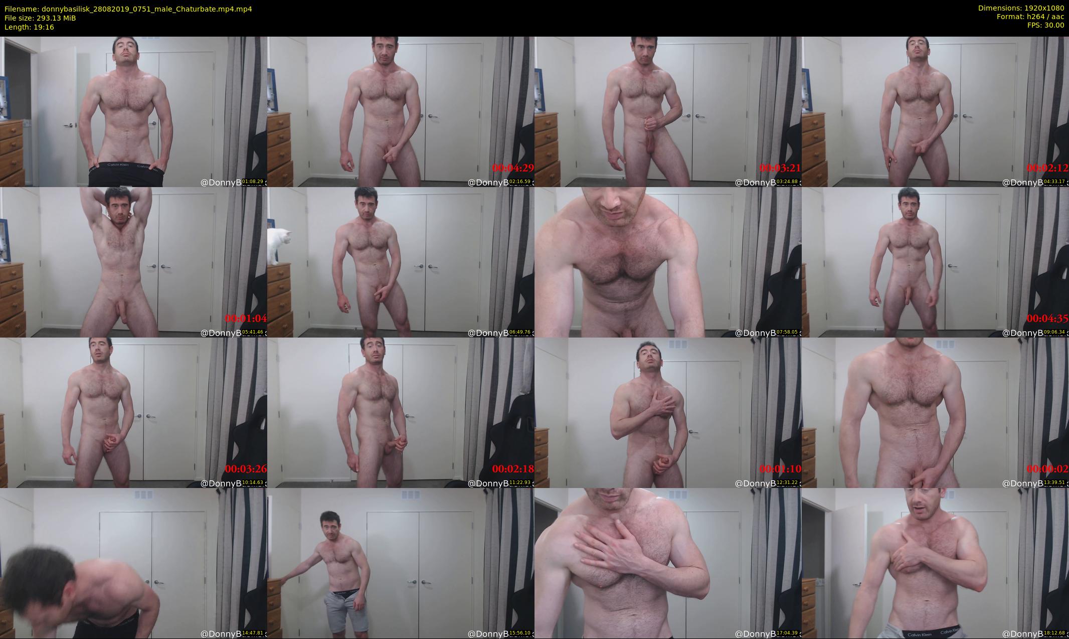 donnybasilisk — 20 minute Chaturbate male cam show recording, 1080p, Aug 28, 2019
