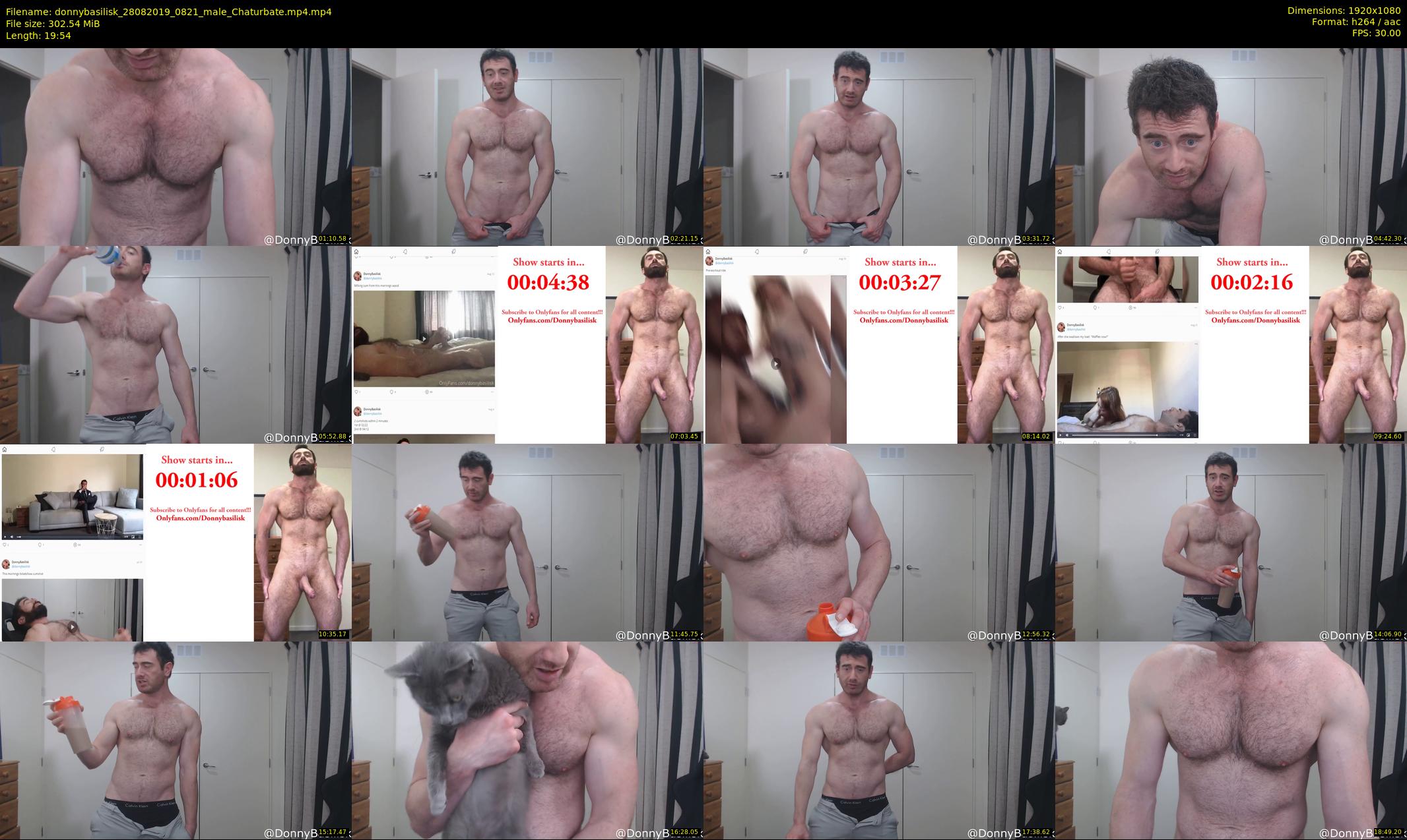 donnybasilisk — 20 minute Chaturbate male cam show recording, 1080p, Aug 28, 2019