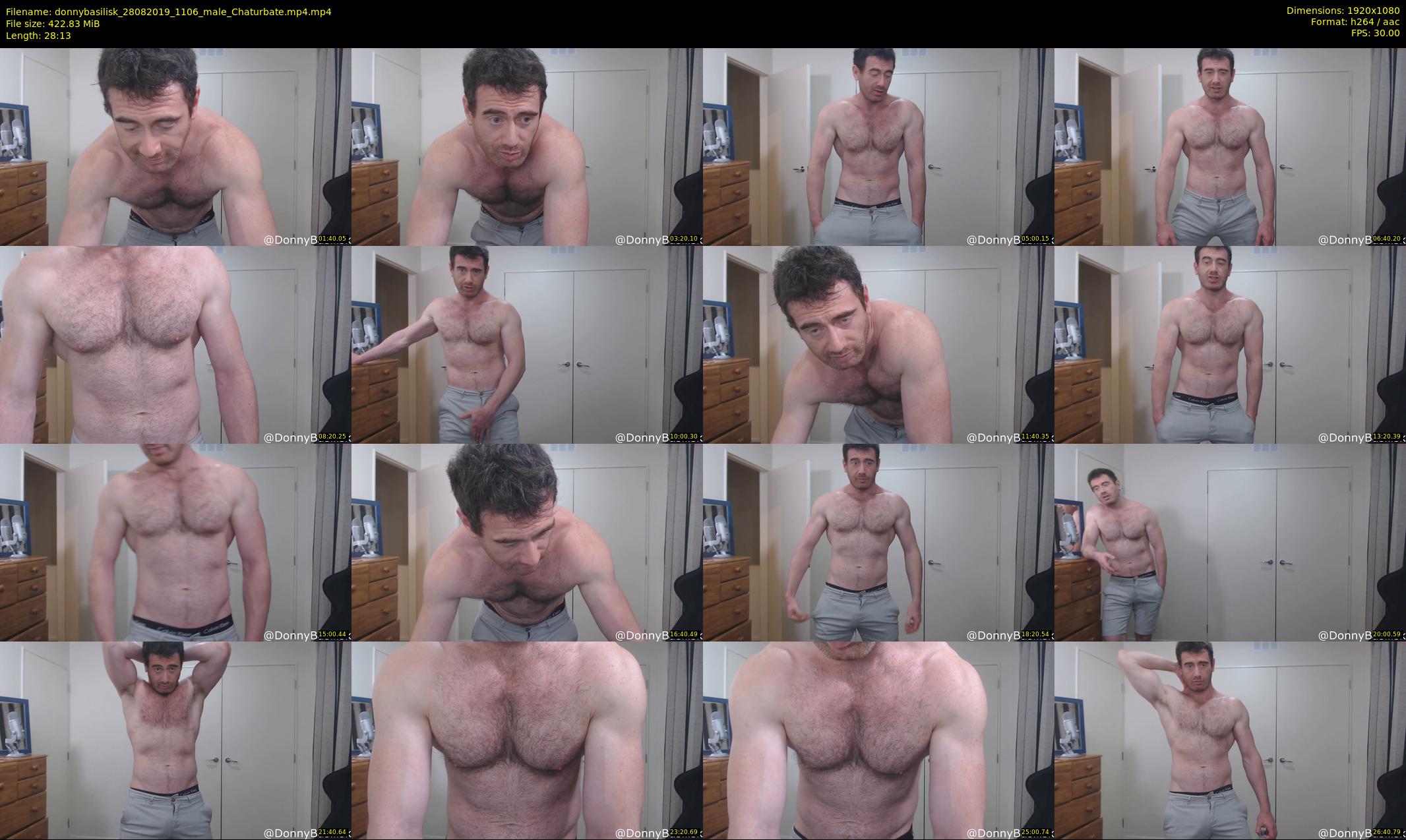 donnybasilisk — 29 minute Chaturbate male cam show recording, 1080p, Aug 28, 2019