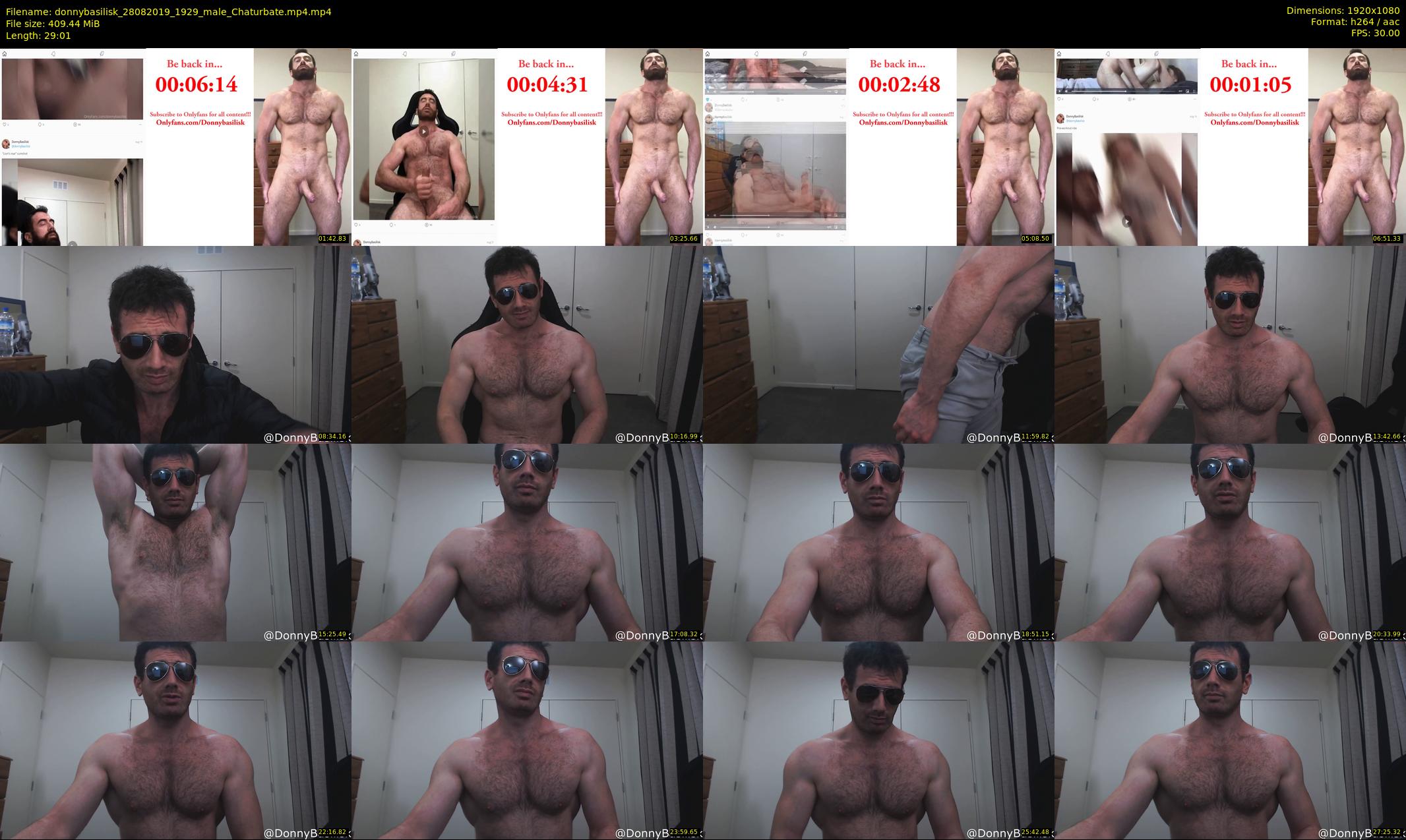 donnybasilisk — 30 minute Chaturbate male cam show recording, 1080p, Aug 28, 2019