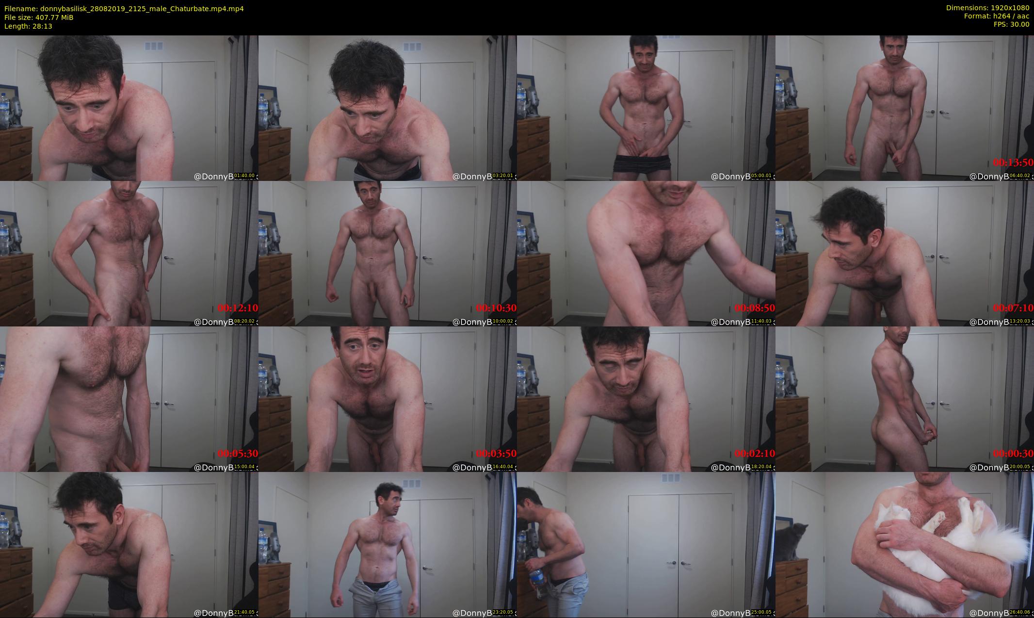 donnybasilisk — 29 minute Chaturbate male cam show recording, 1080p, Aug 28, 2019