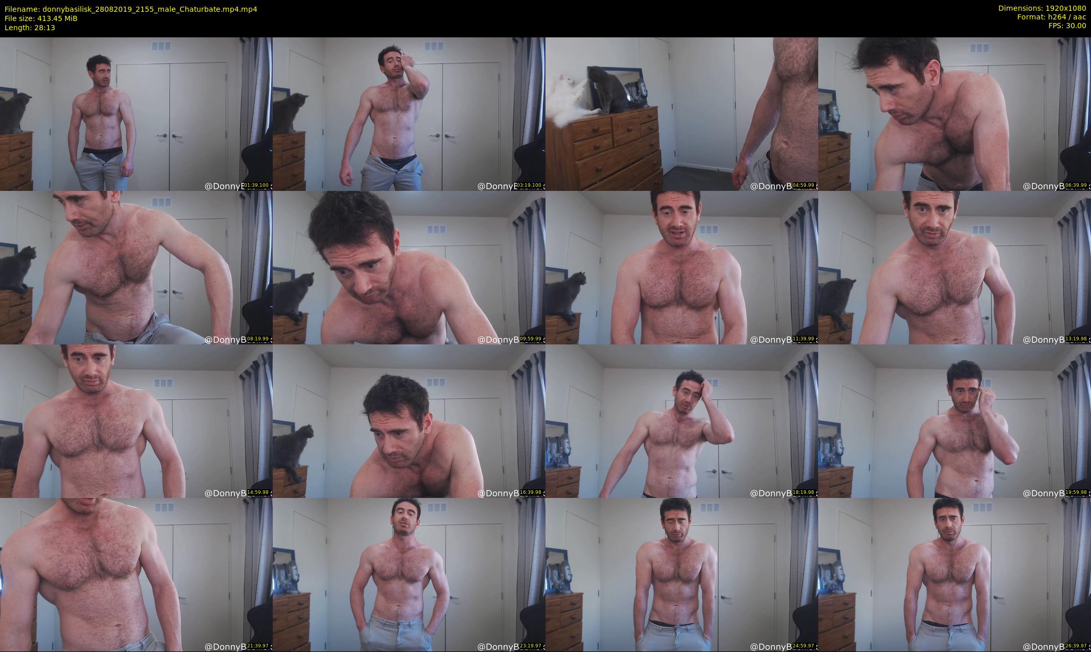 donnybasilisk — 29 minute Chaturbate male cam show recording, 1080p, Aug 28, 2019