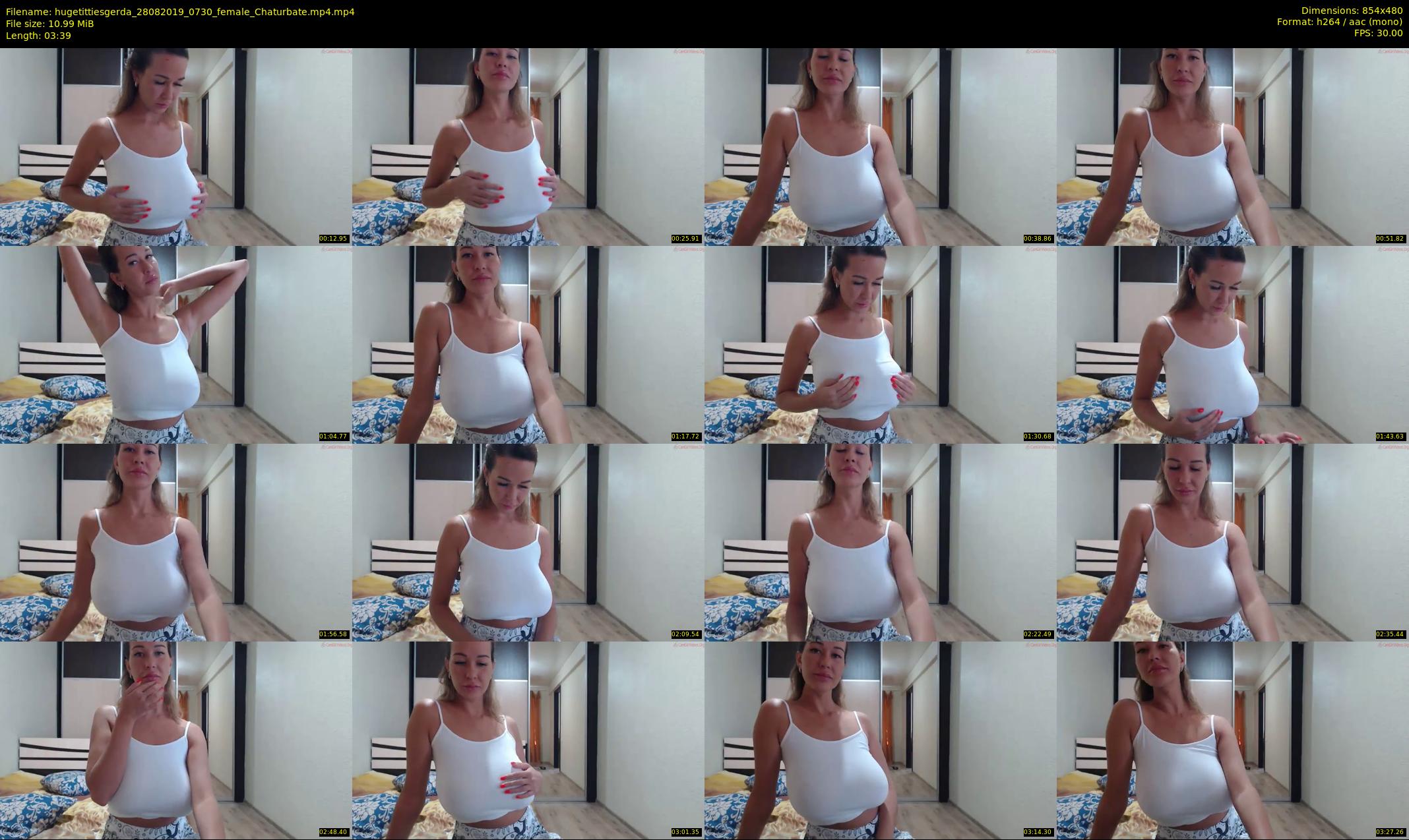 hugetittiesgerda — 4 minute Chaturbate female cam show recording, 480p, Aug 28, 2019