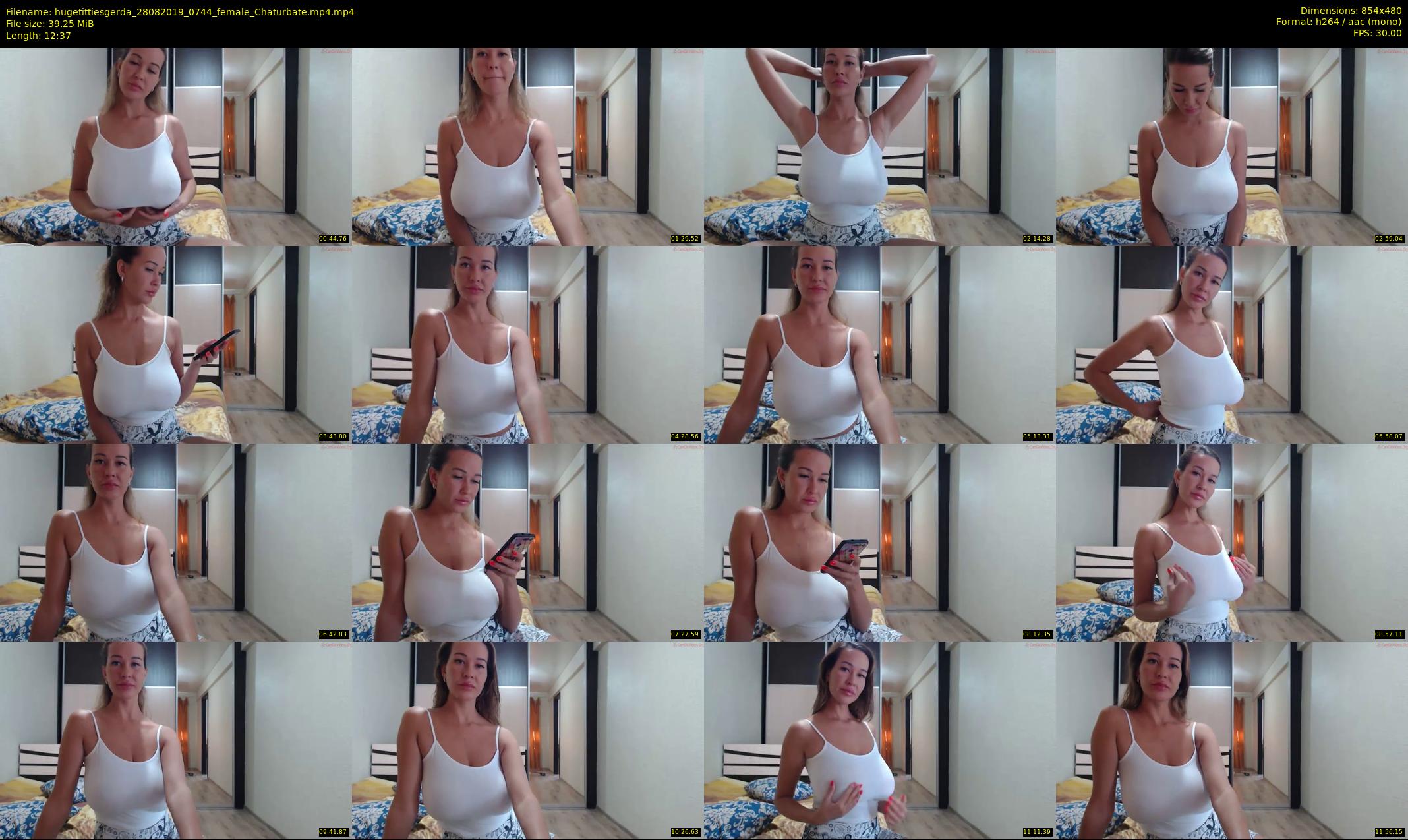 hugetittiesgerda — 13 minute Chaturbate female cam show recording, 480p, Aug 28, 2019