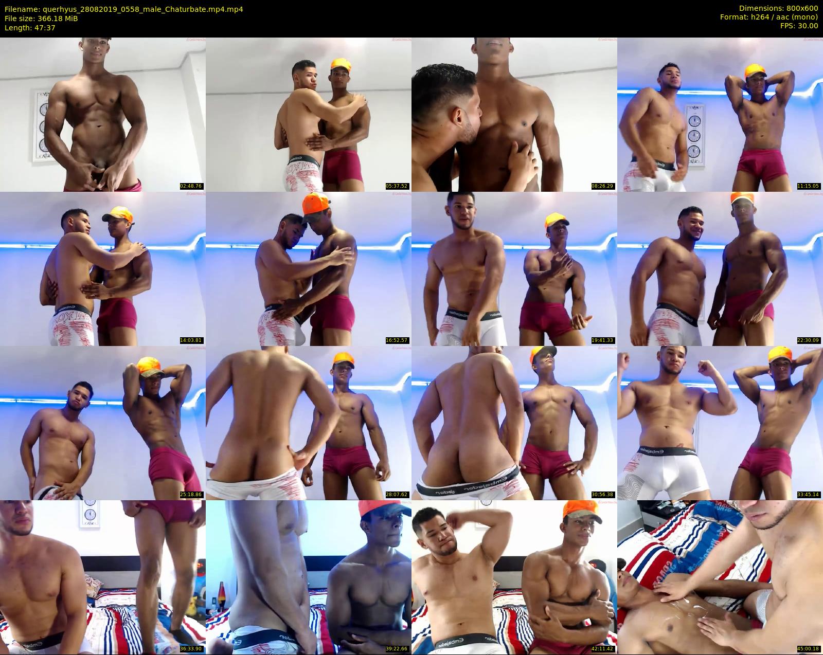 querhyus — 48 minute Chaturbate male cam show recording, 480p, Aug 28, 2019