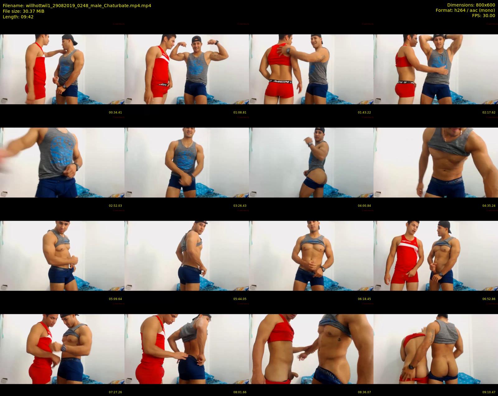 willhottwil1 — 10 minute Chaturbate couple cam show recording, 480p, Aug 29, 2019