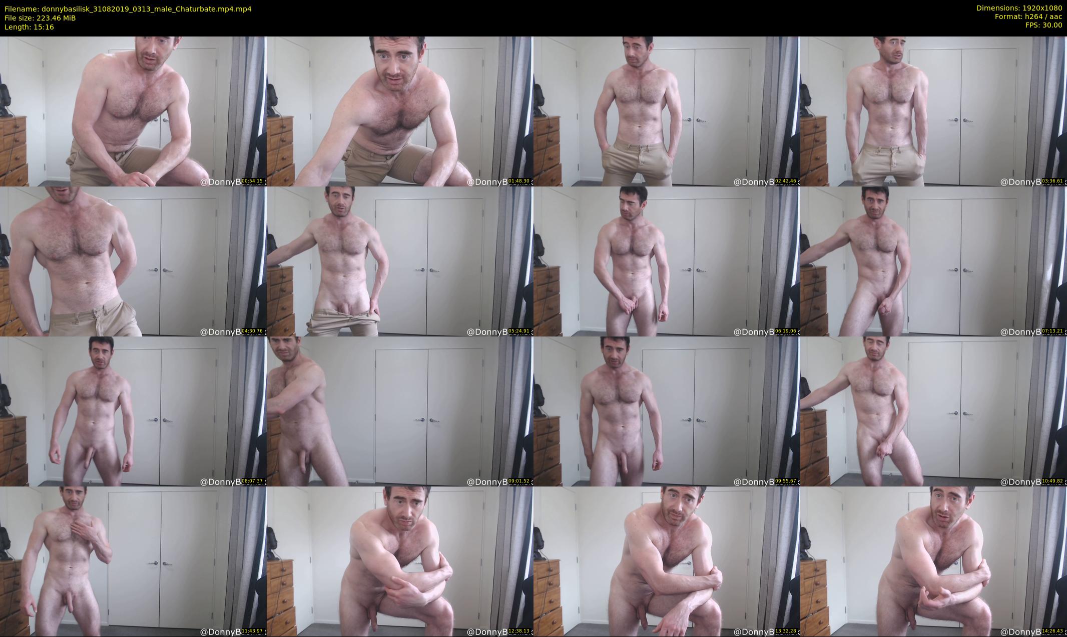 donnybasilisk — 16 minute Chaturbate male cam show recording, 1080p, Aug 31, 2019