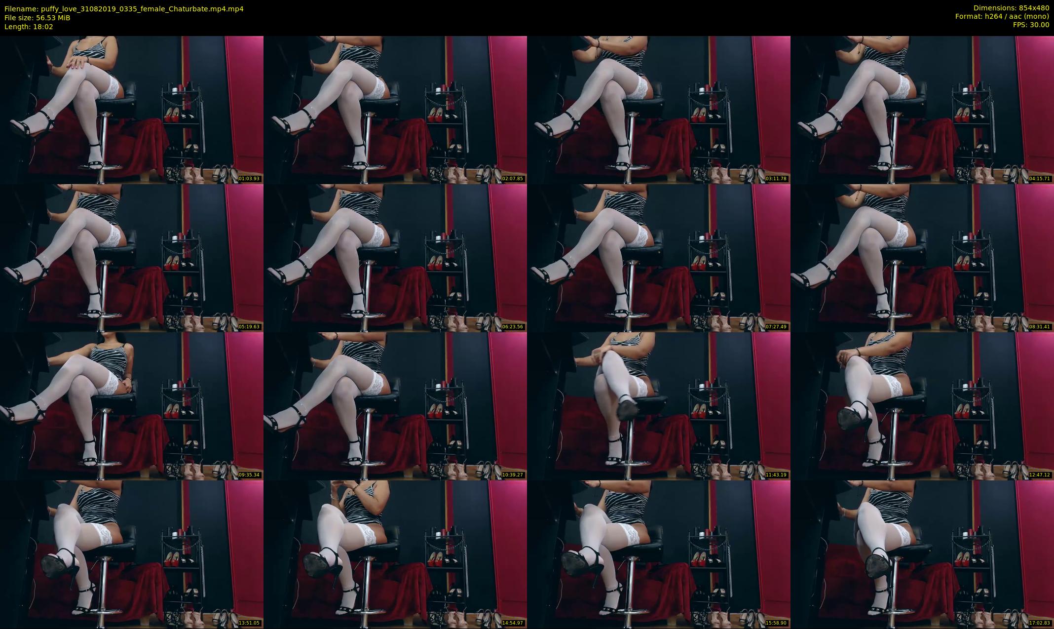 puffy_love — 19 minute Chaturbate female cam show recording, 480p, Aug 31, 2019