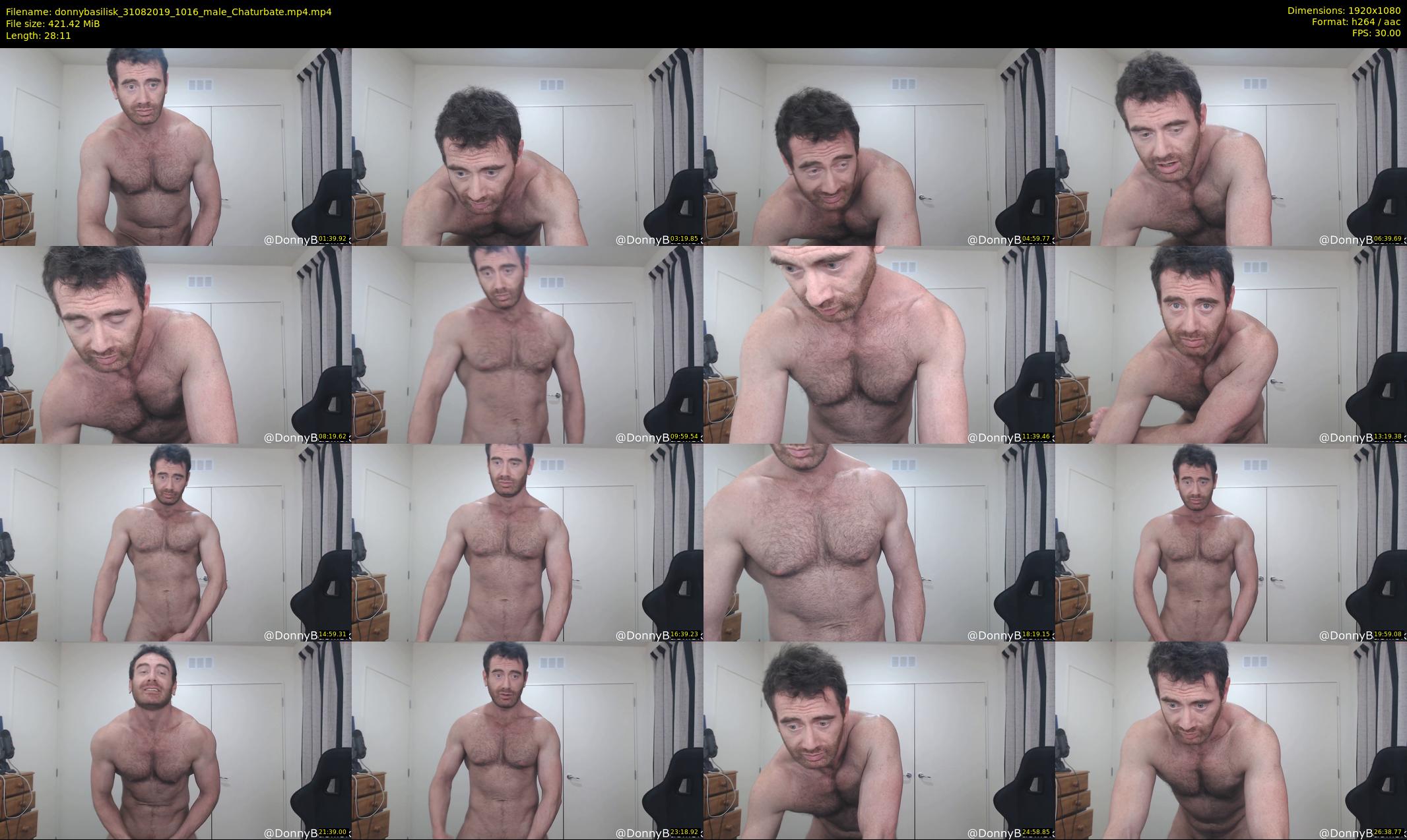 donnybasilisk — 29 minute Chaturbate male cam show recording, 1080p, Aug 31, 2019