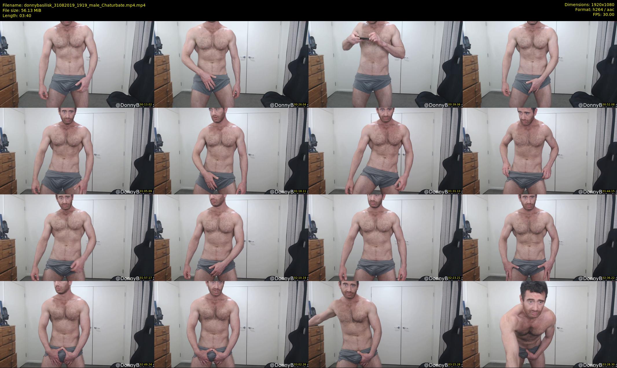 donnybasilisk — 4 minute Chaturbate male cam show recording, 1080p, Aug 31, 2019