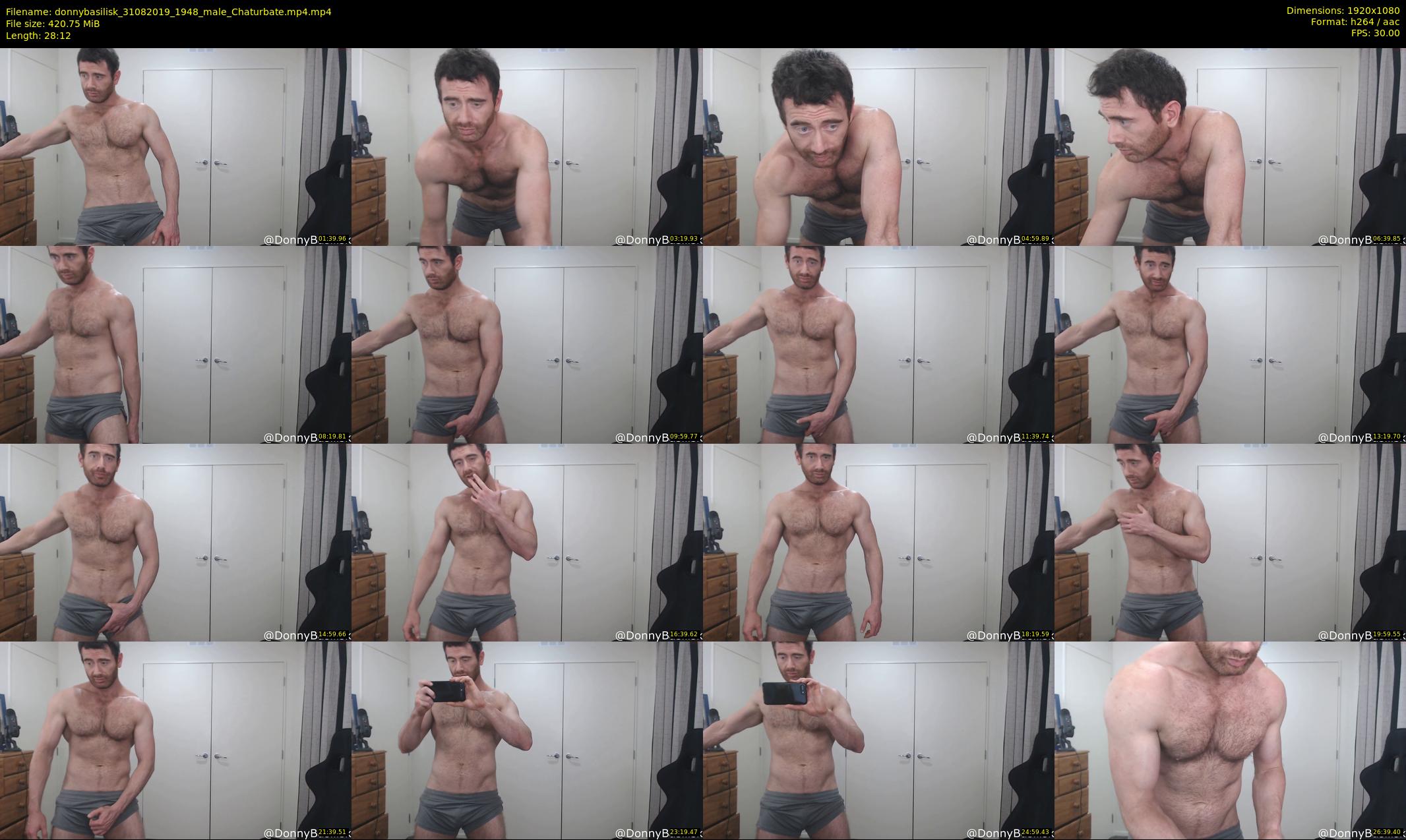 donnybasilisk — 29 minute Chaturbate male cam show recording, 1080p, Aug 31, 2019