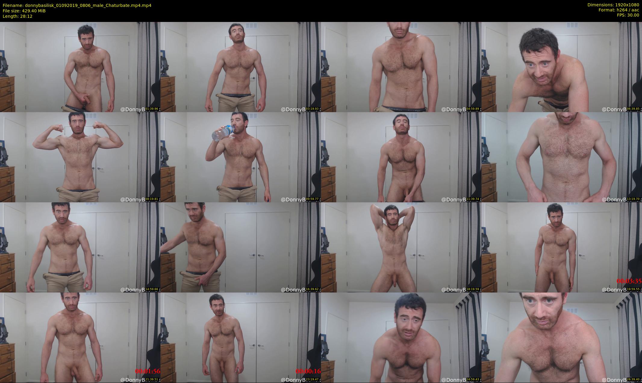 donnybasilisk — 29 minute Chaturbate male cam show recording, 1080p, Sep 1, 2019