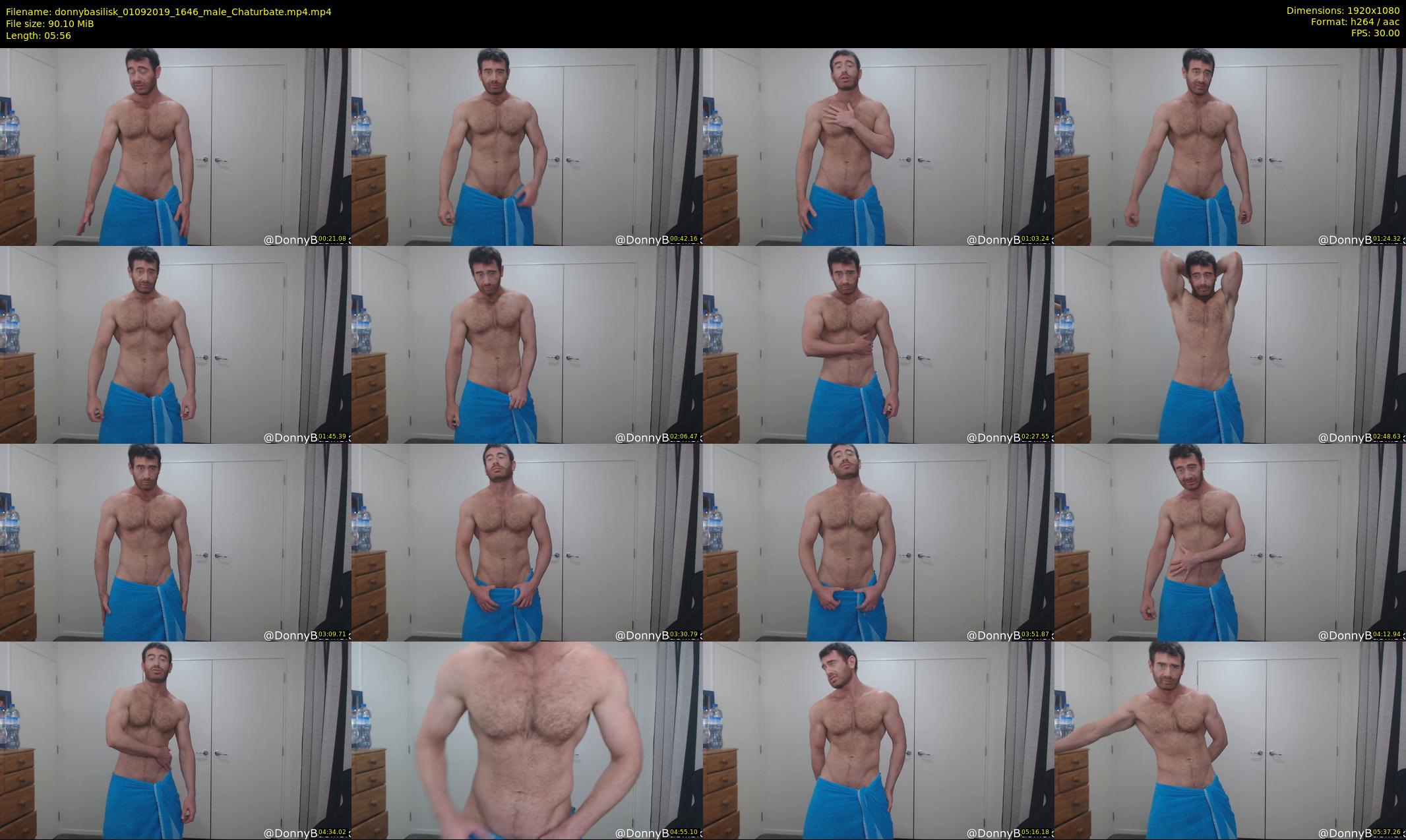 donnybasilisk — 6 minute Chaturbate male cam show recording, 1080p, Sep 1, 2019