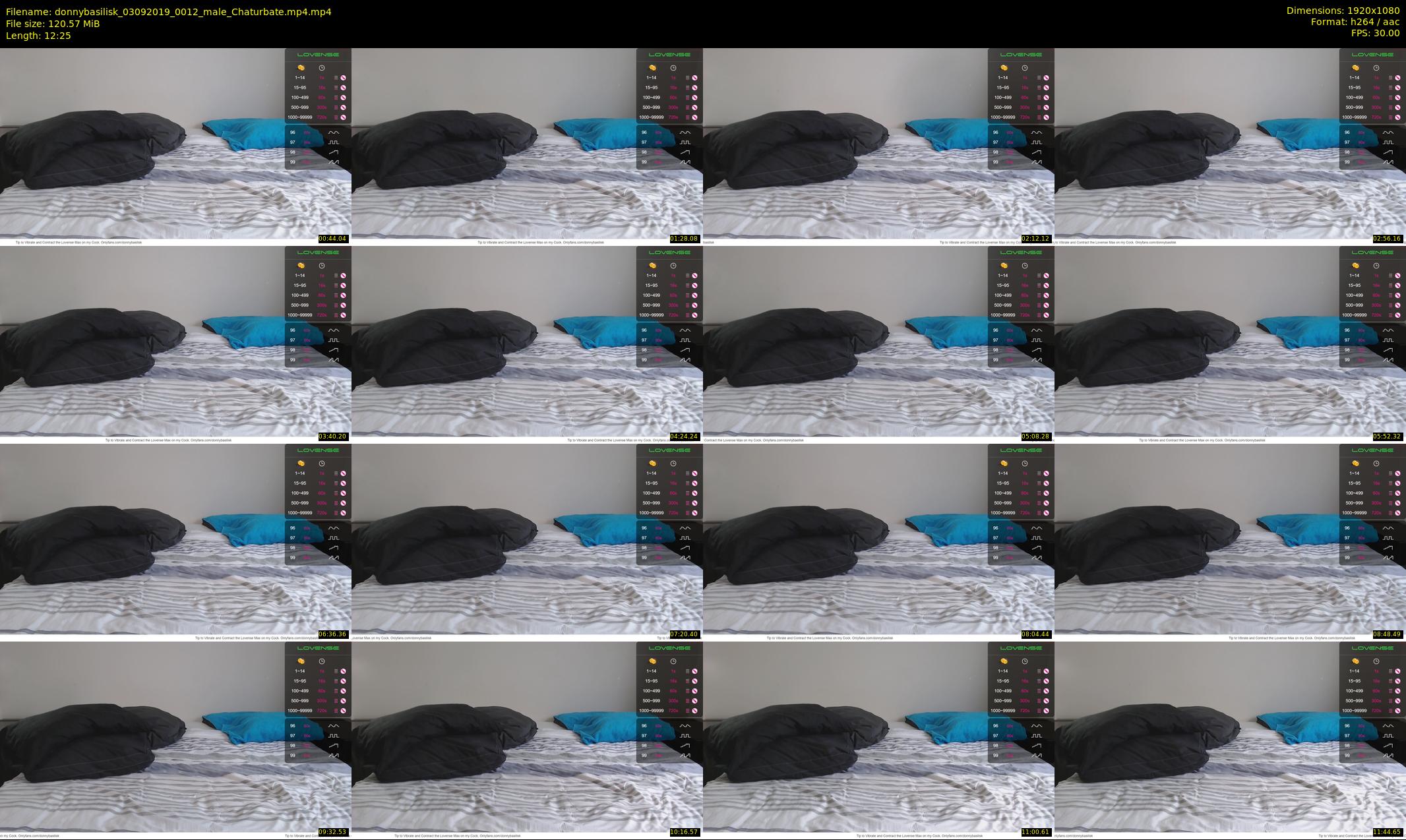 donnybasilisk — 13 minute Chaturbate male cam show recording, 1080p, Sep 3, 2019