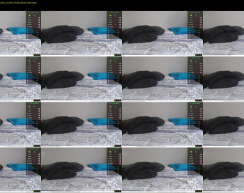 donnybasilisk — 13 minute Chaturbate male cam show recording, 1080p, Sep 3, 2019