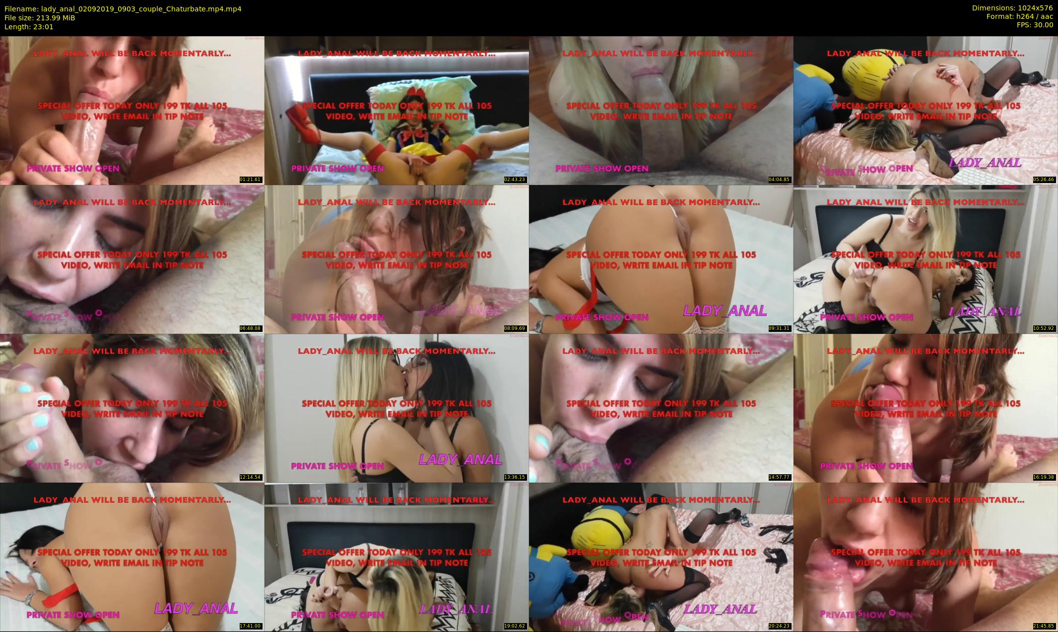 lady_anal — 24 minute Chaturbate female cam show recording, 480p, Sep 2, 2019