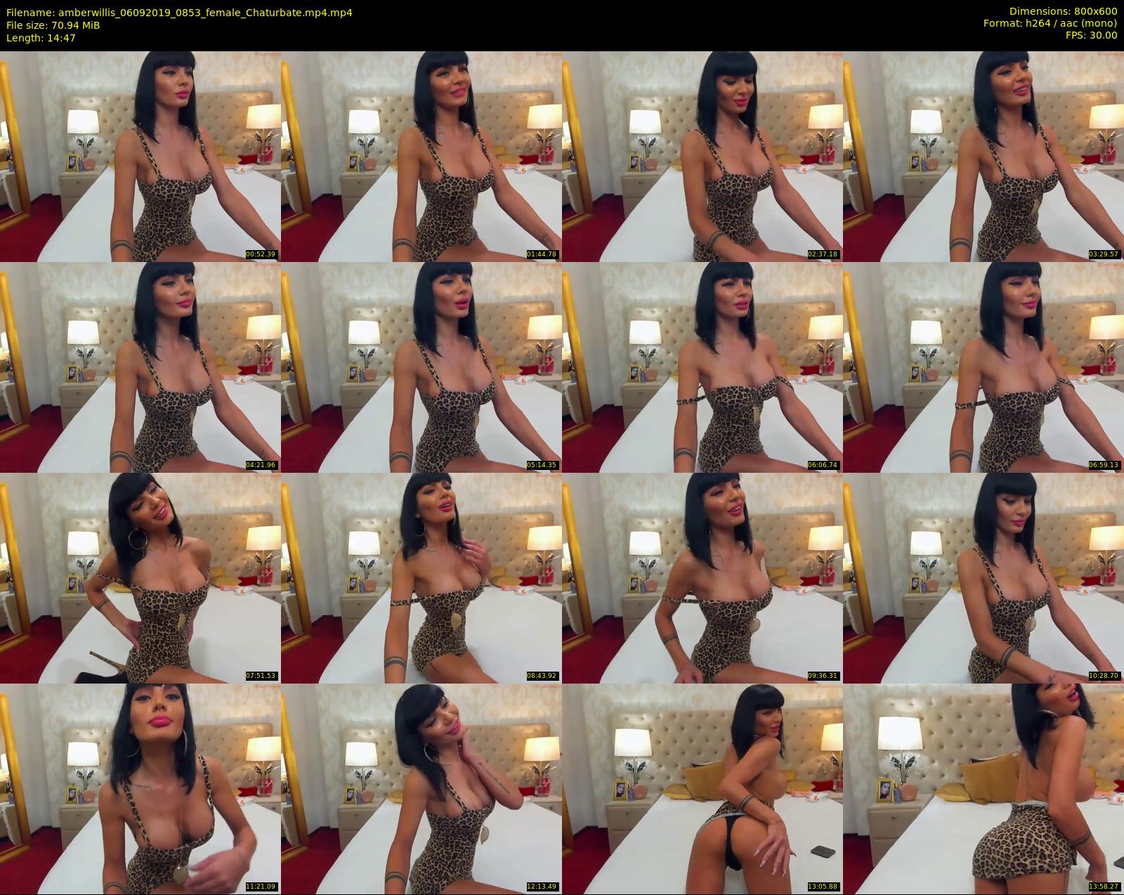 amberwillis — 15 minute Chaturbate female cam show recording, 480p, Sep 6, 2019